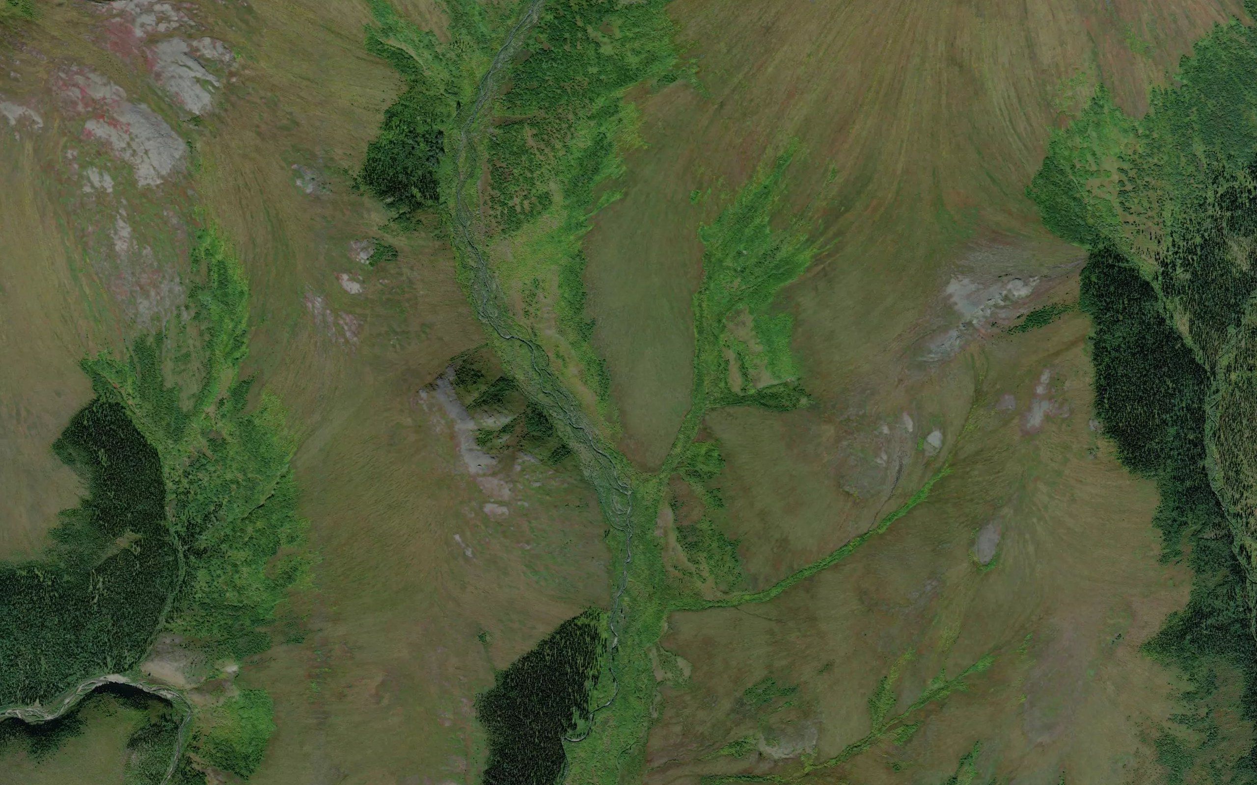 Jay Creek