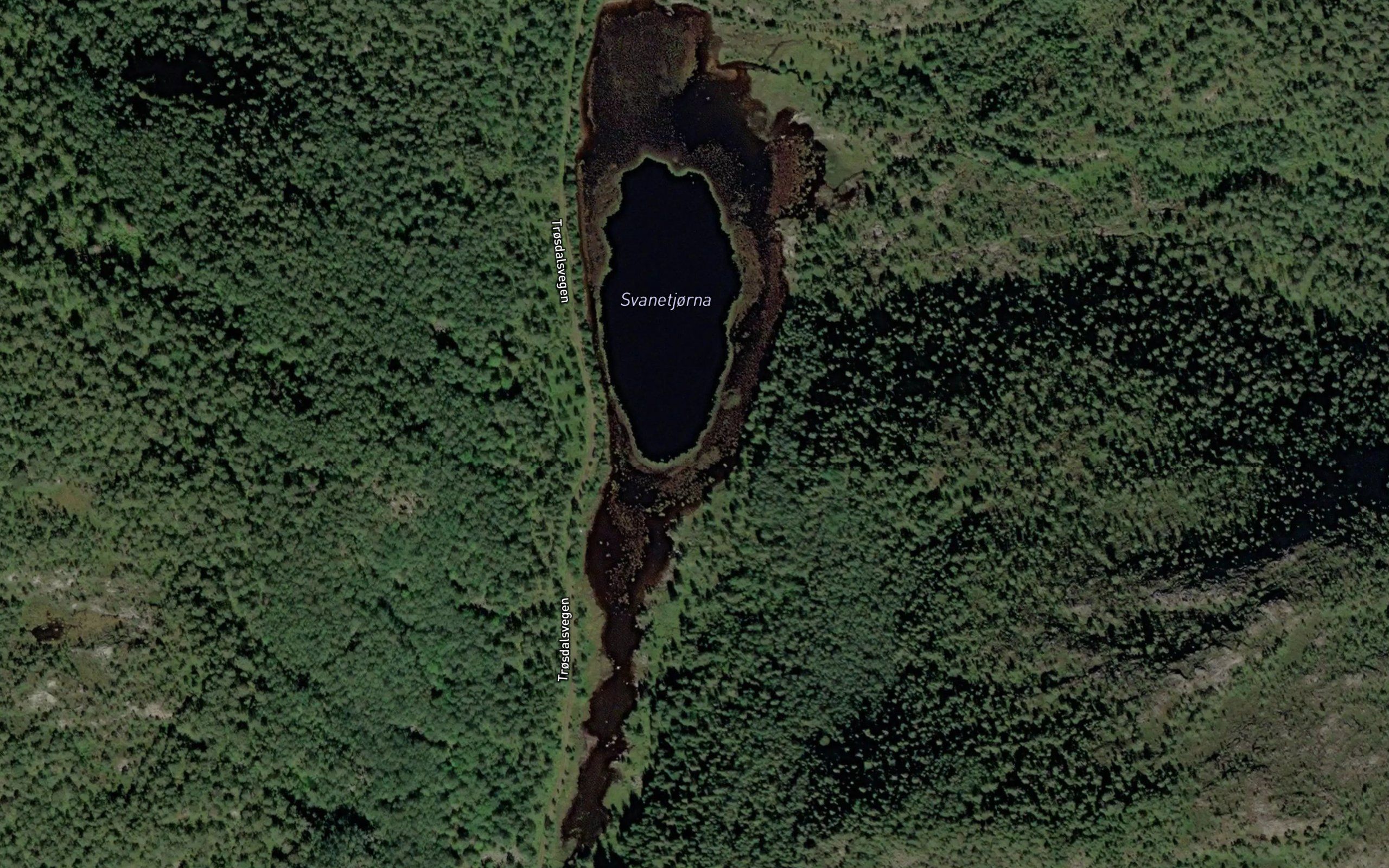 Svanetjorna