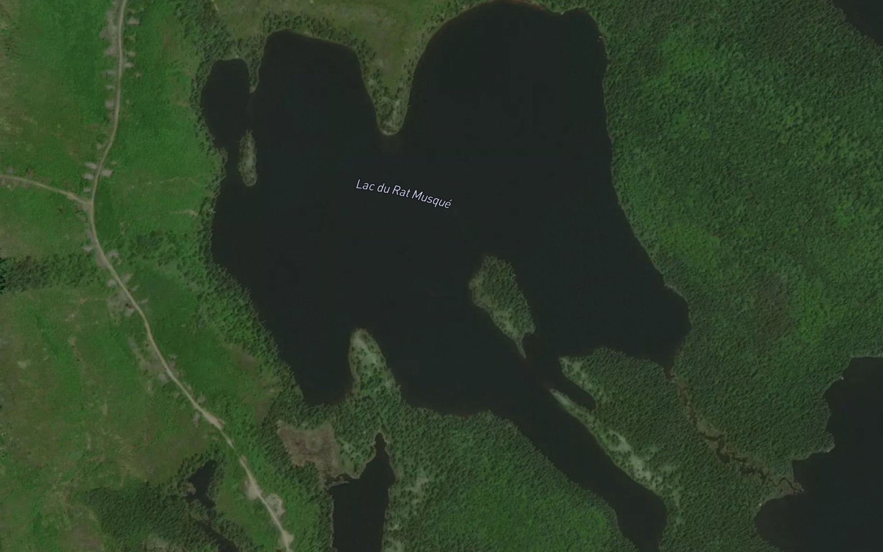 Satellite map of the Lac du Rat Musque