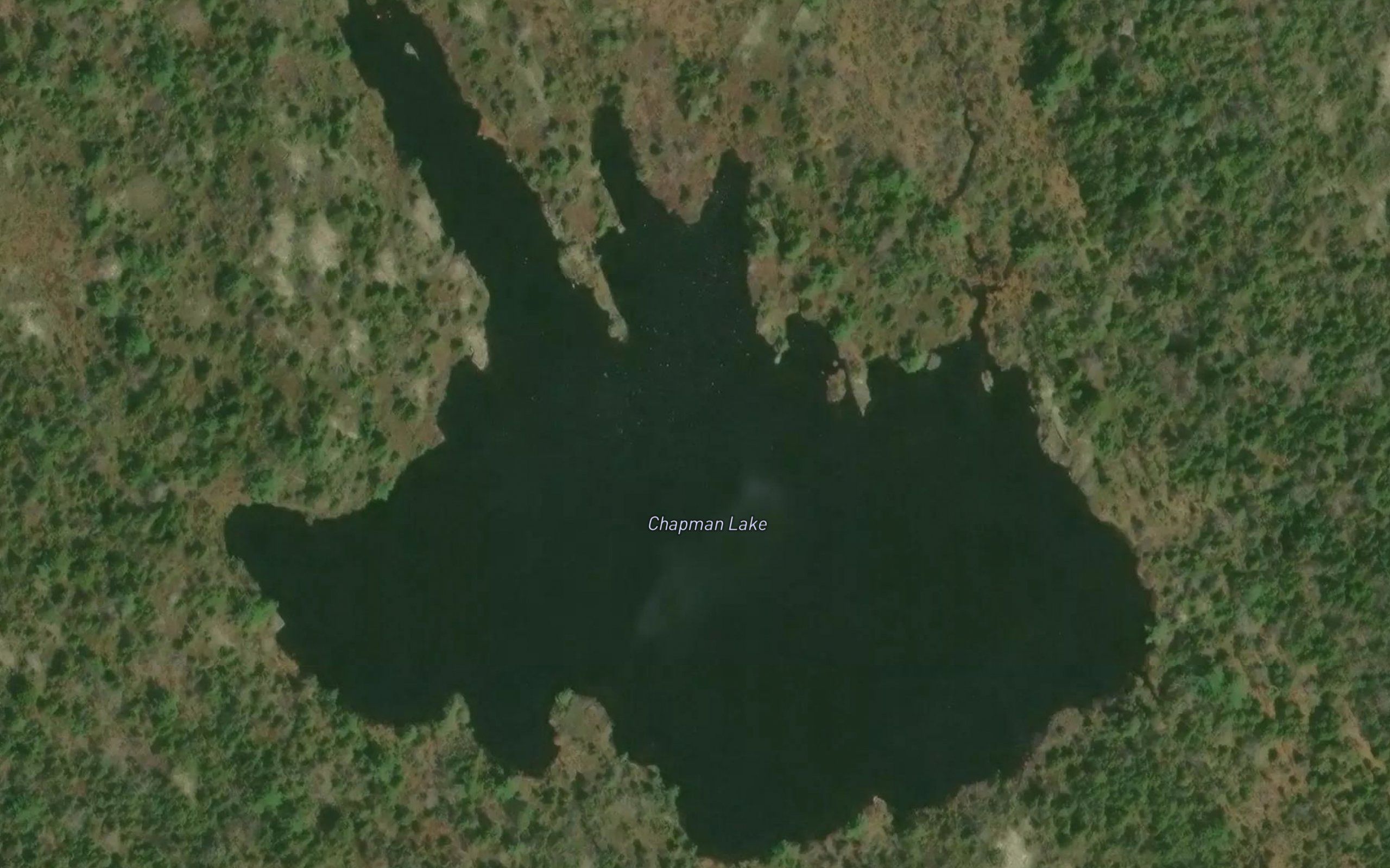 Chapman Lake