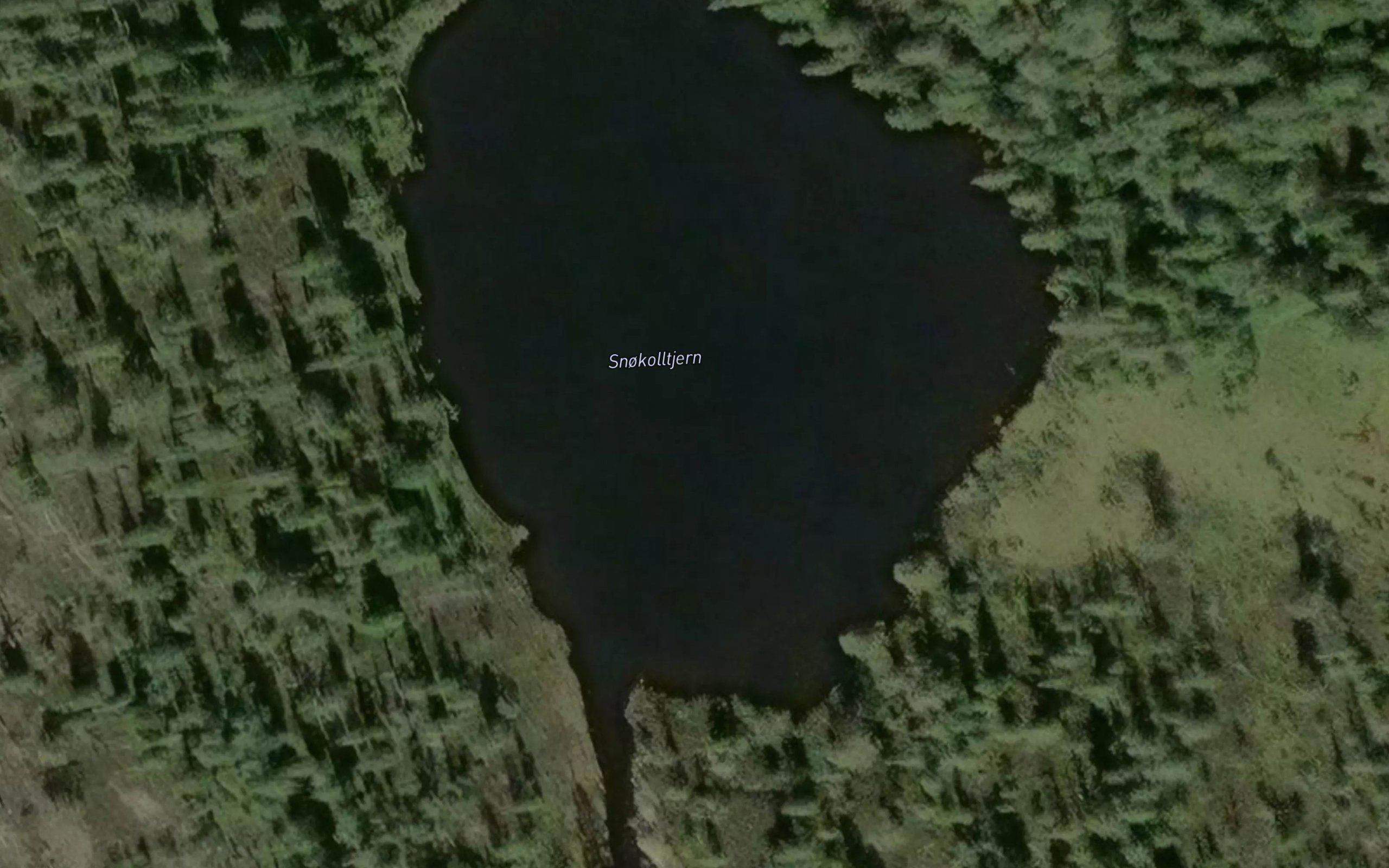 Snokolltjern