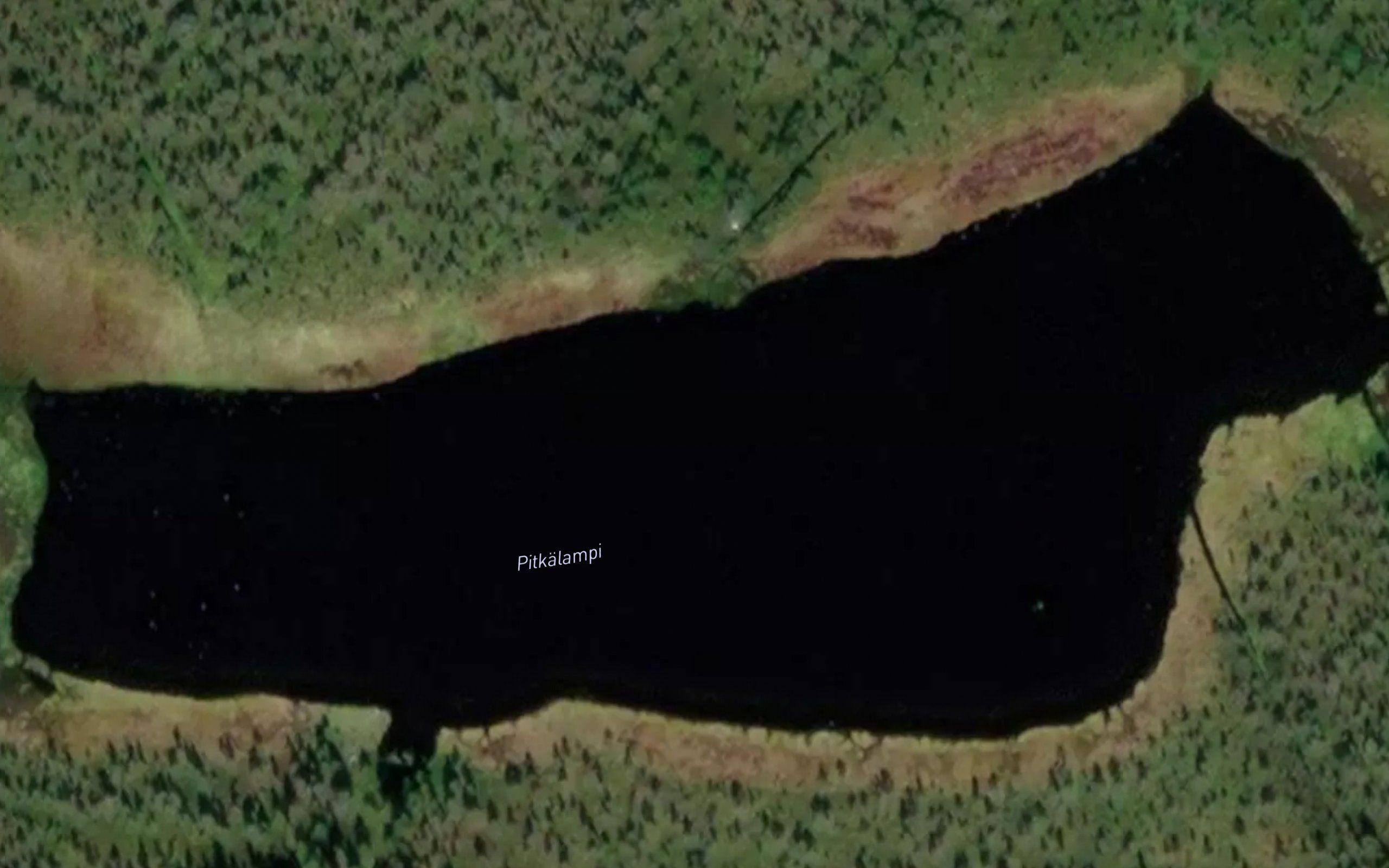 Pitkalampi