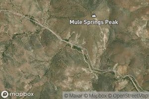 Mule Springs