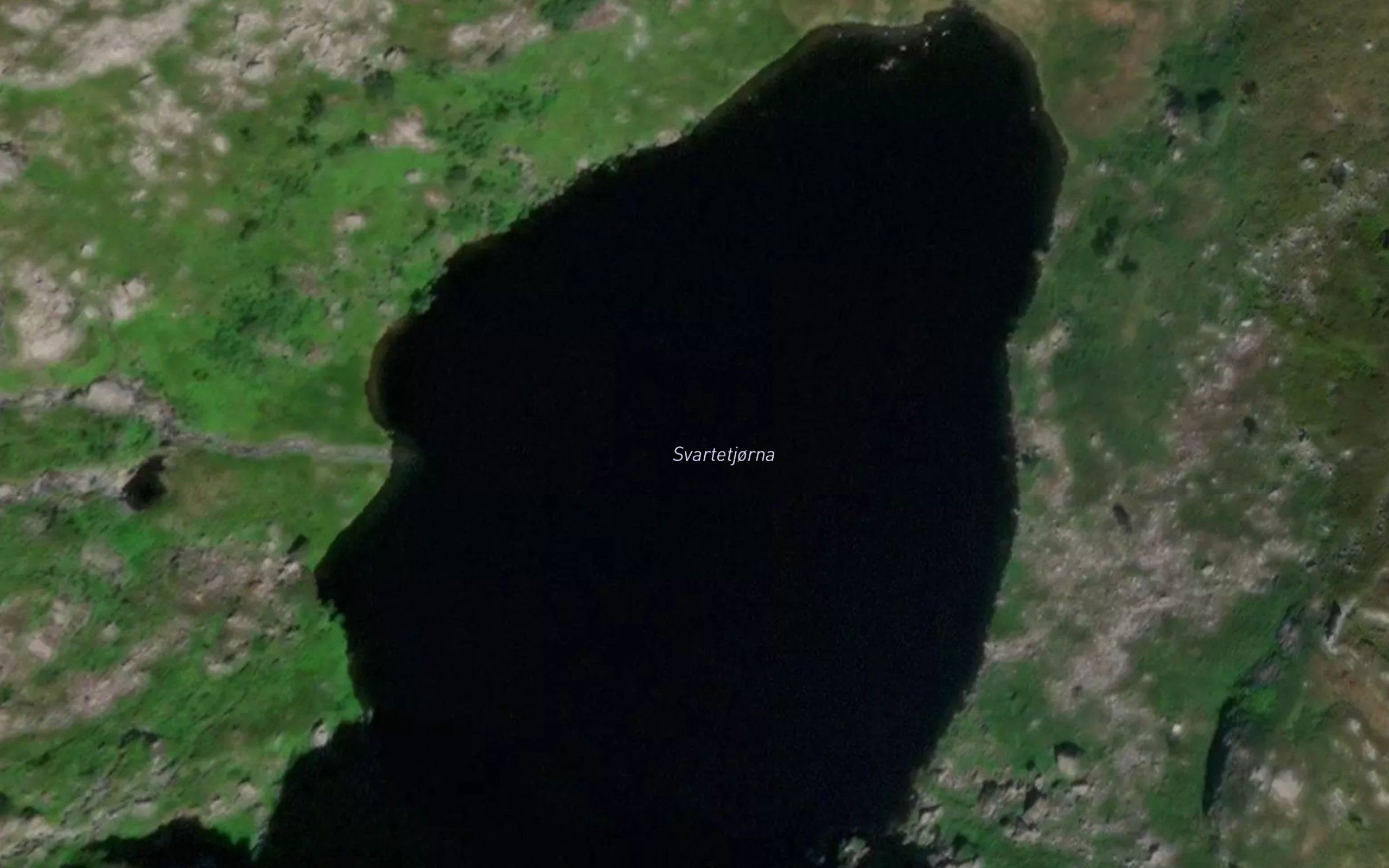 Svartetjorna