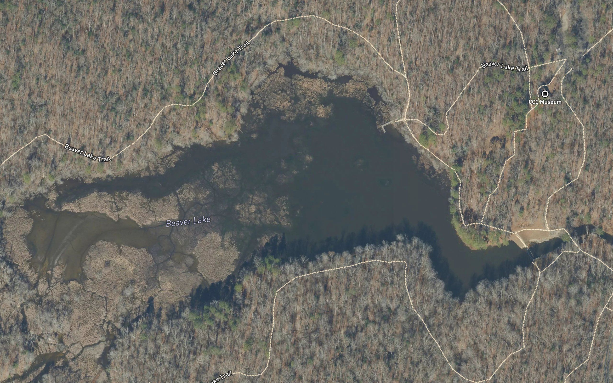 Beaver Lake