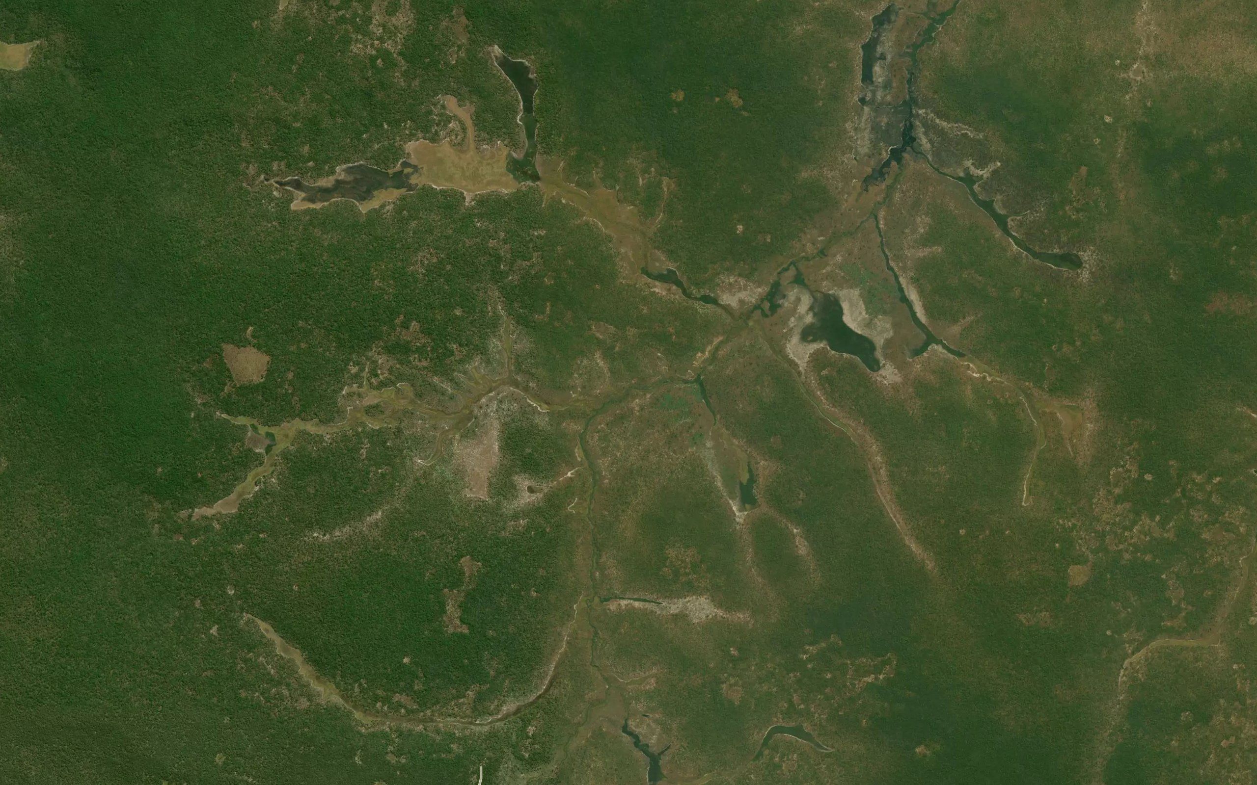 Cassumba