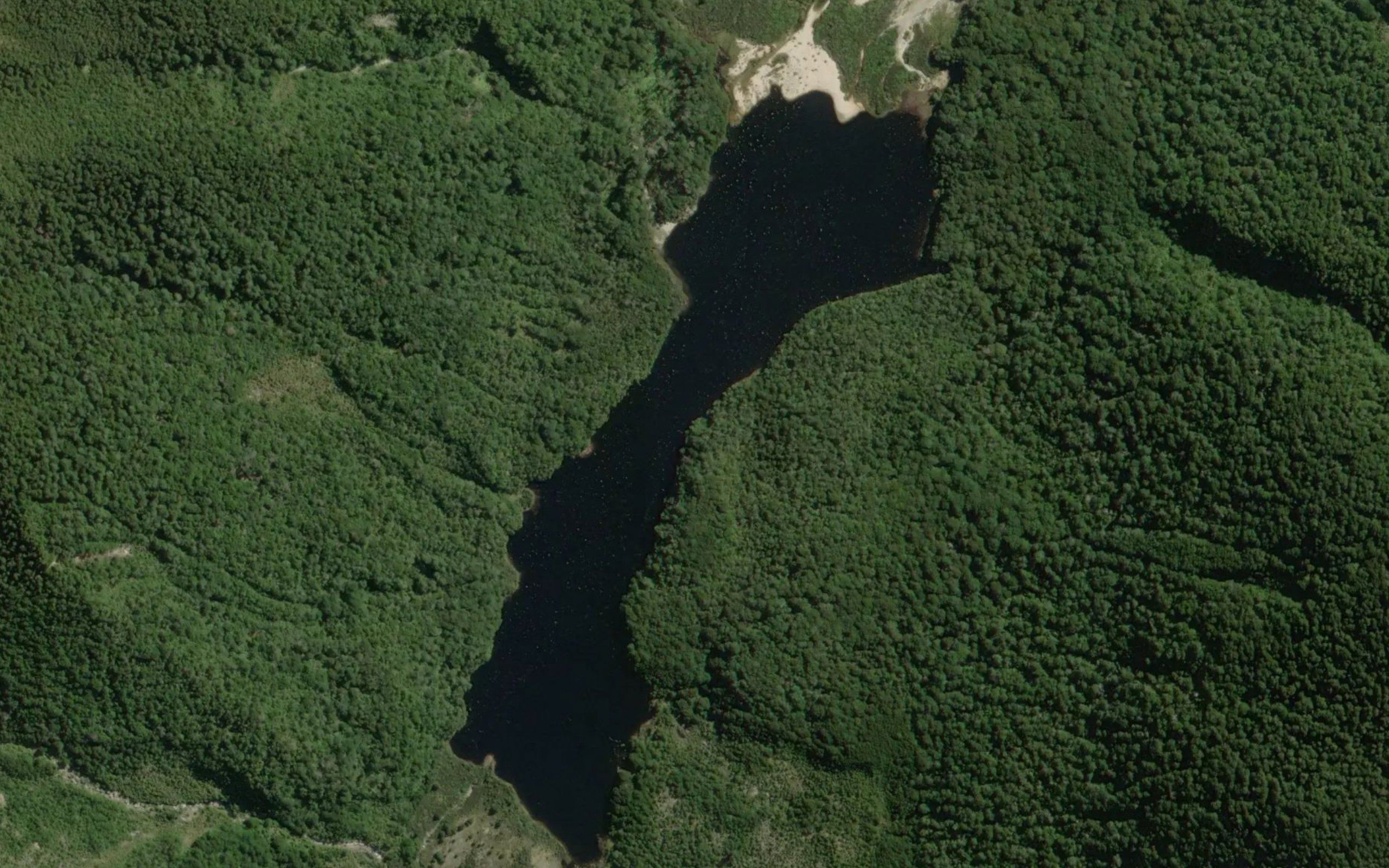 Lake Elmer