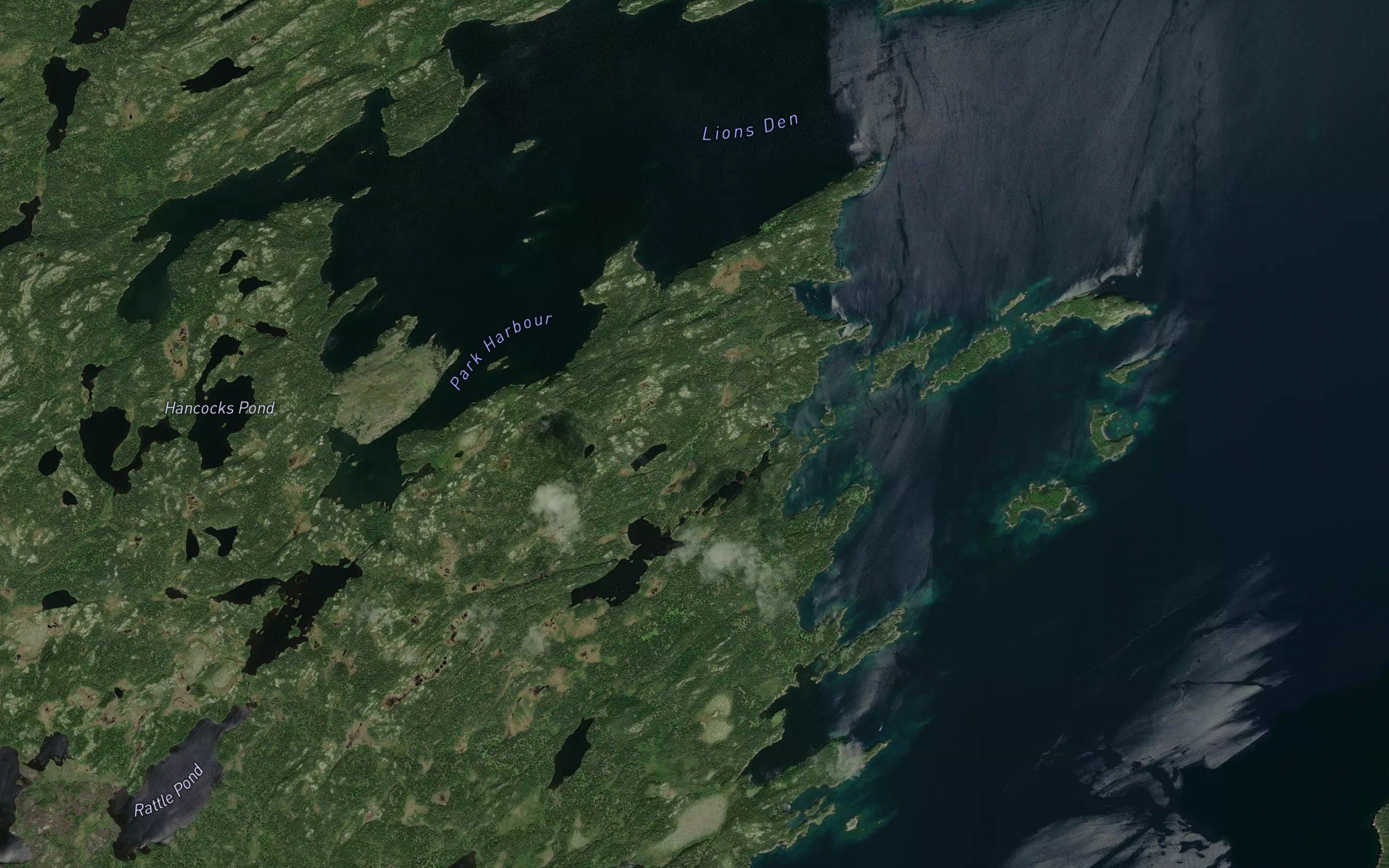 Field Harbour Pond