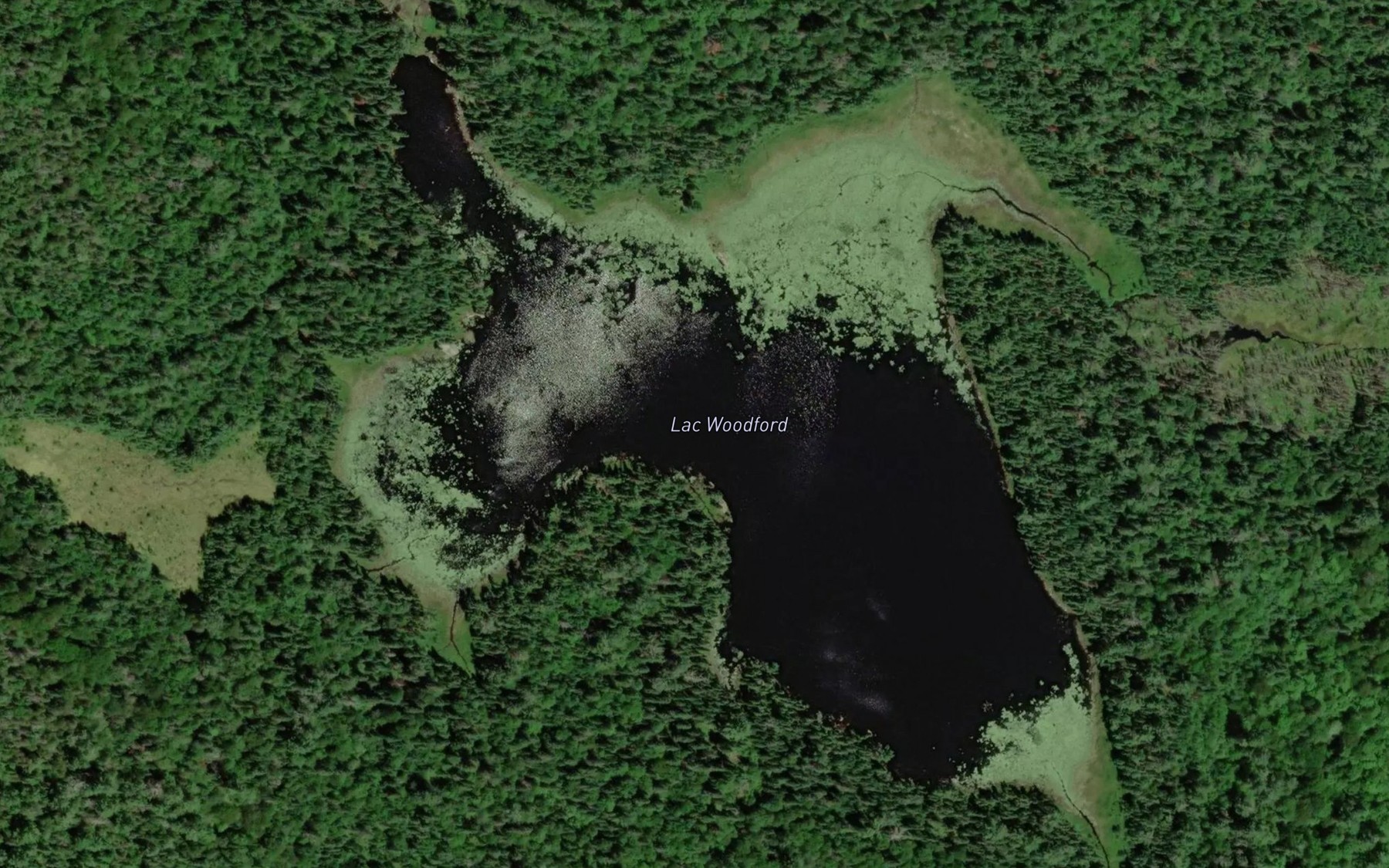 Satellite map of the Lac Woodford