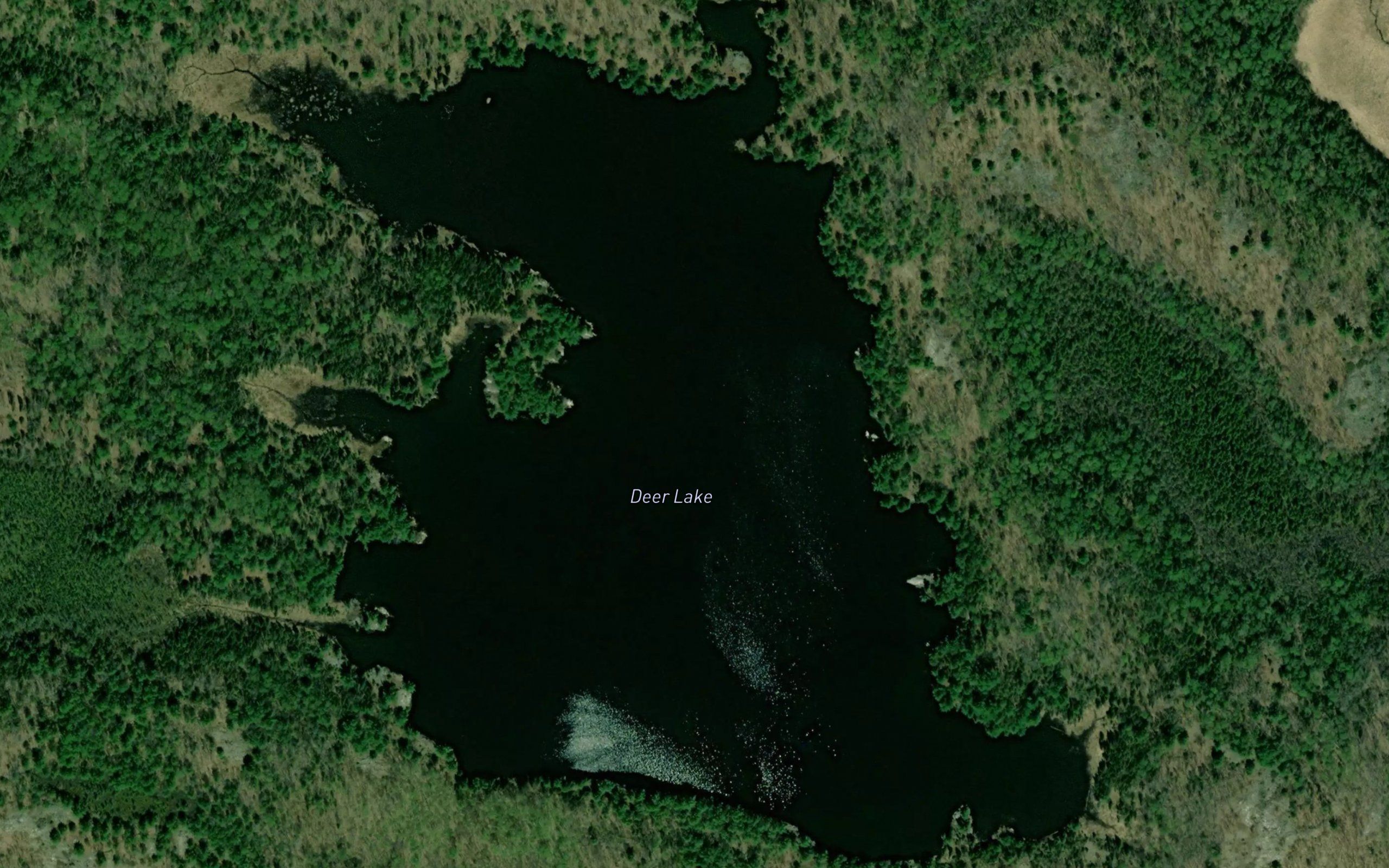 Deer Lake