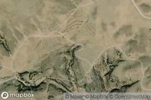 Fiddler Springs