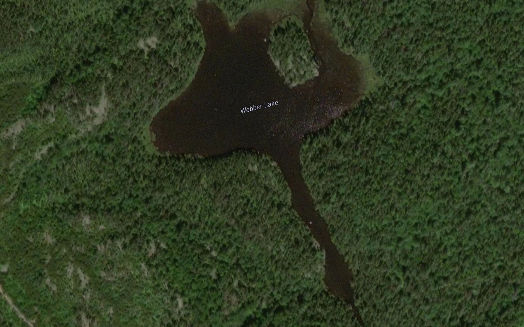 Satellite map of the Webber Lake