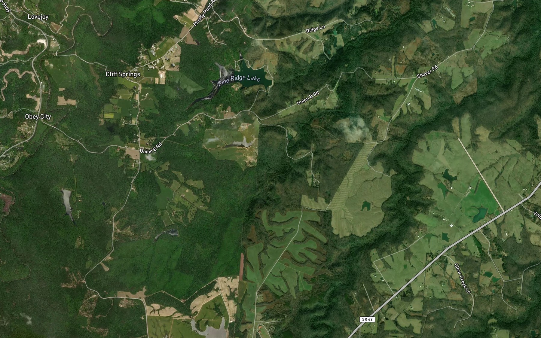 Satellite map of the Flintrock Branch