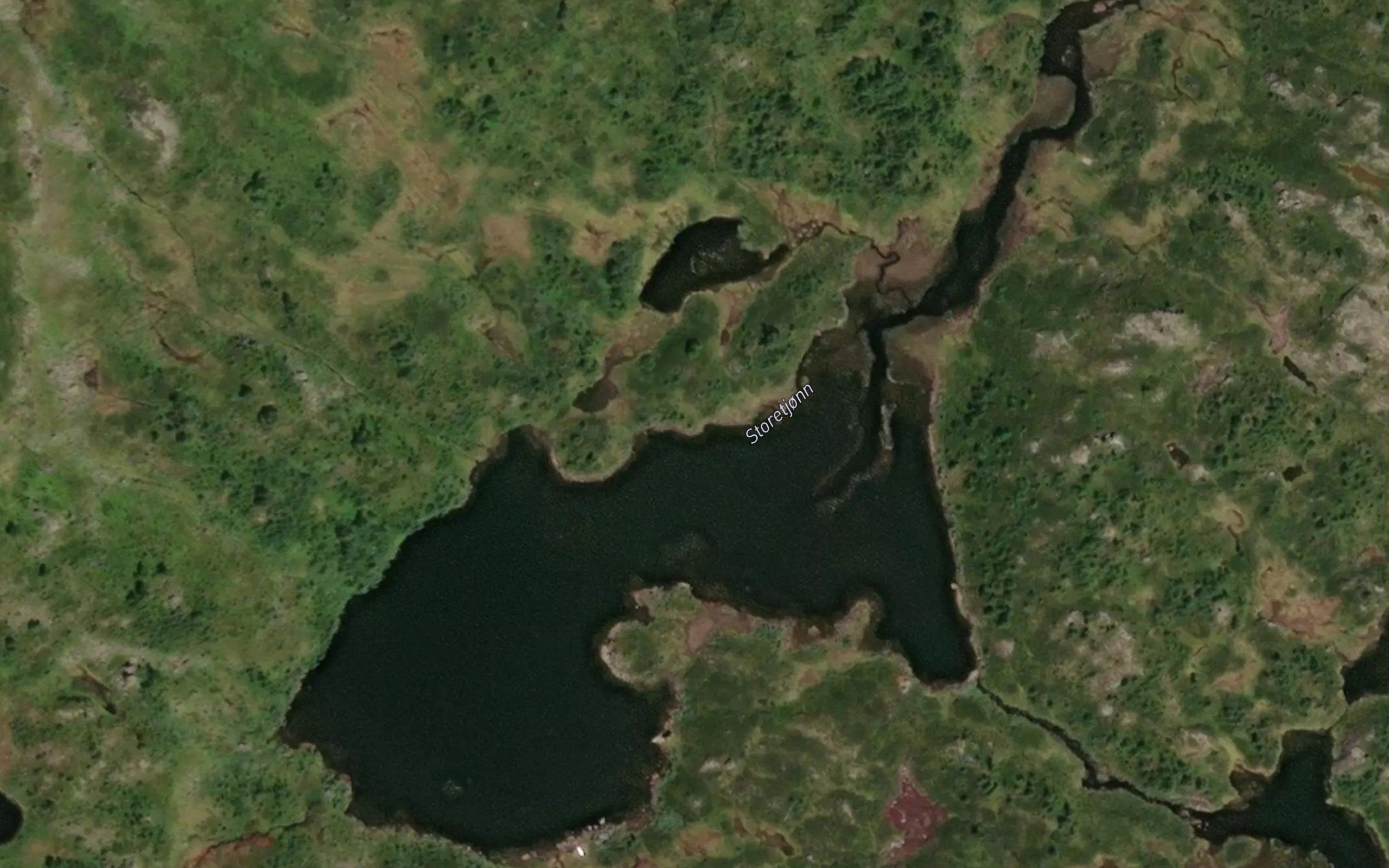 Storetjonni