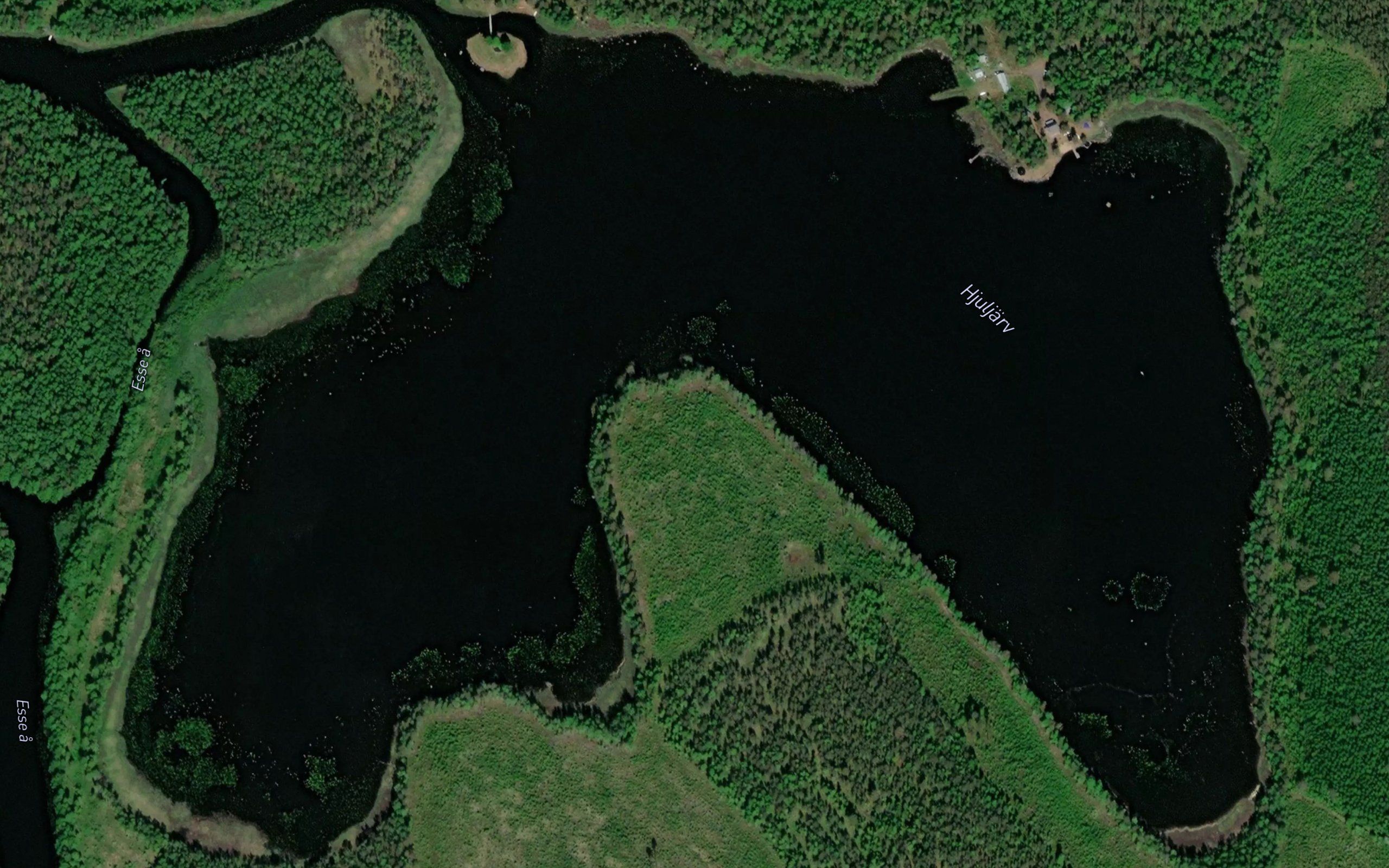 Hjuljarv