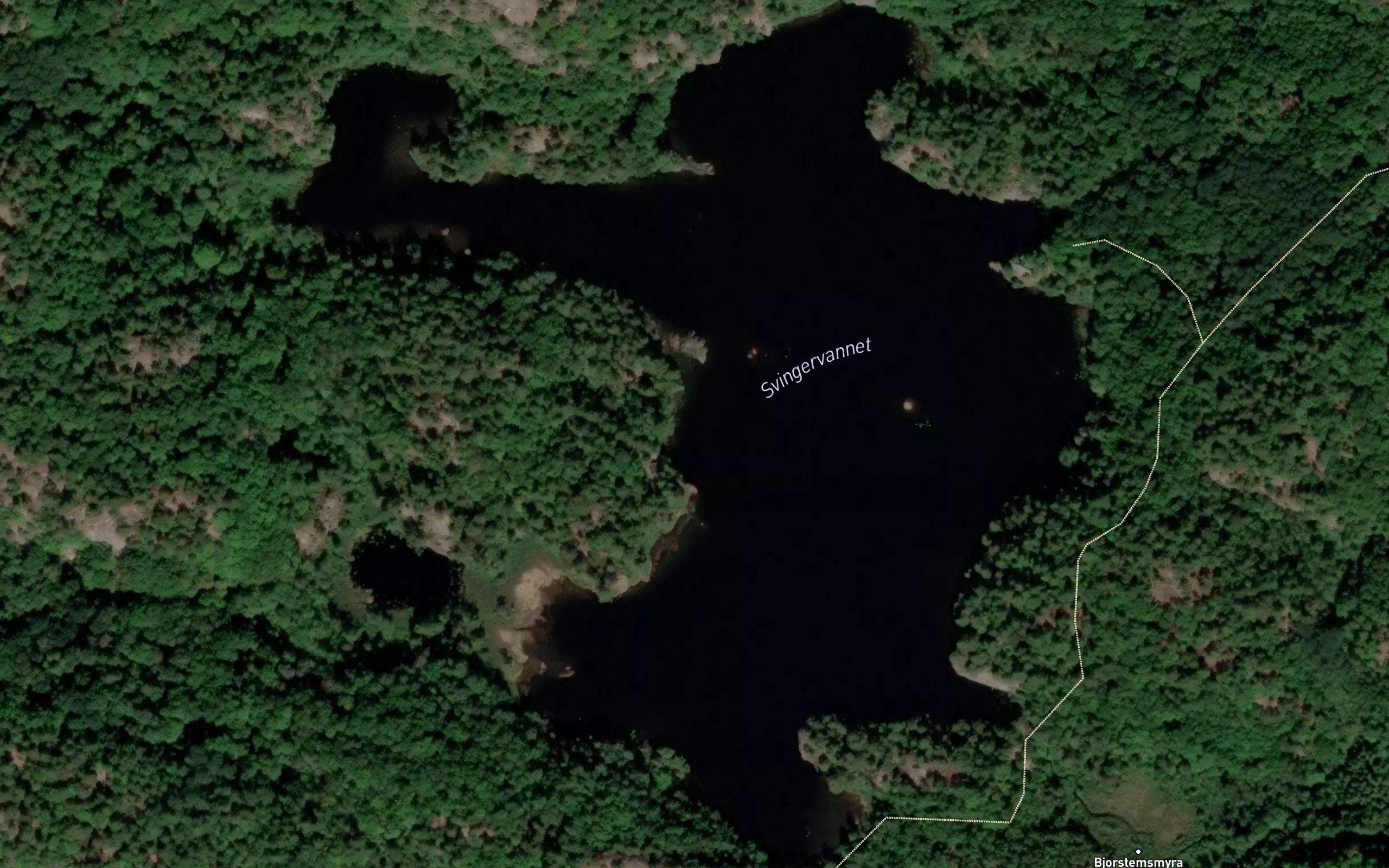 Svingervannet