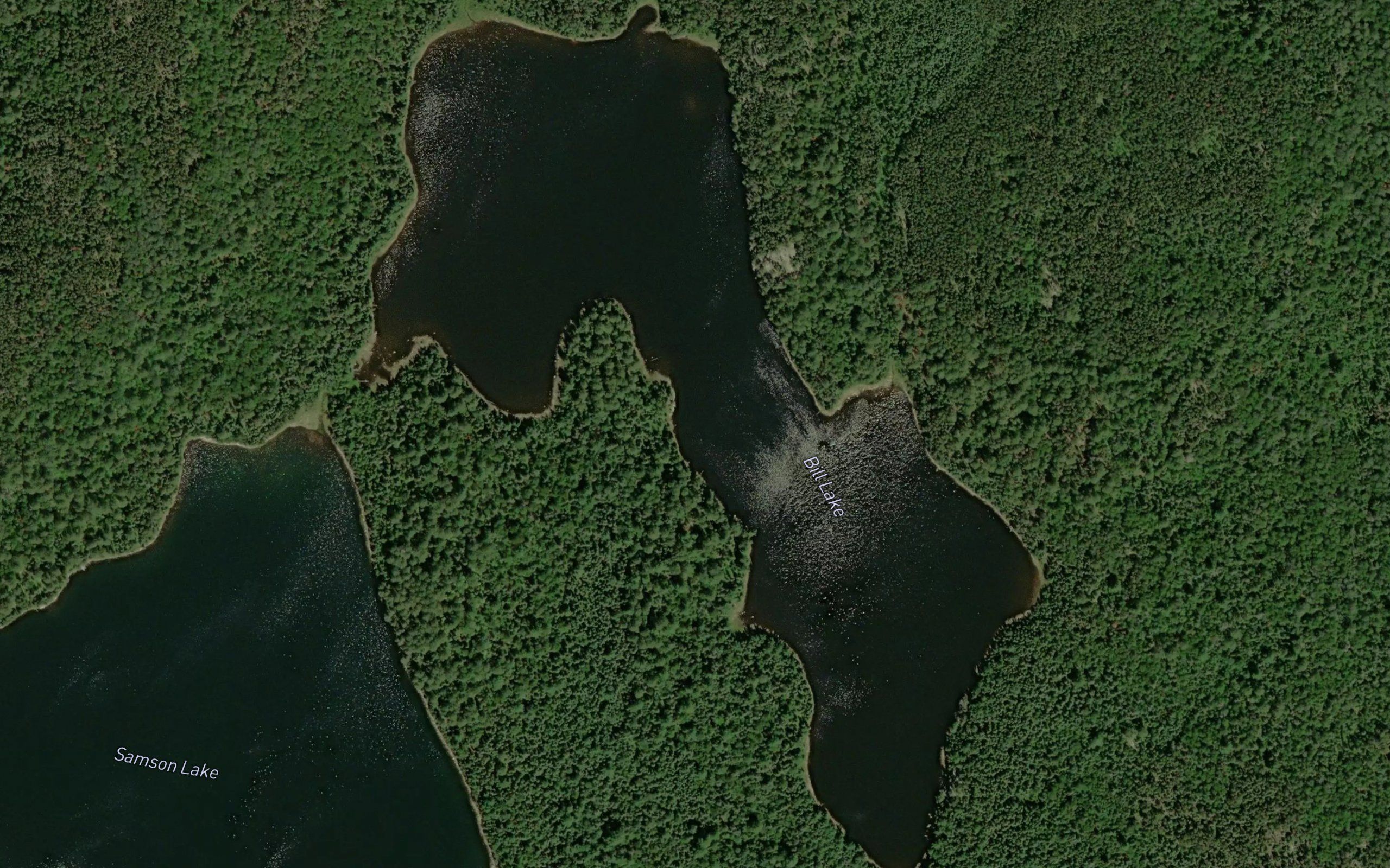 Bill Lake