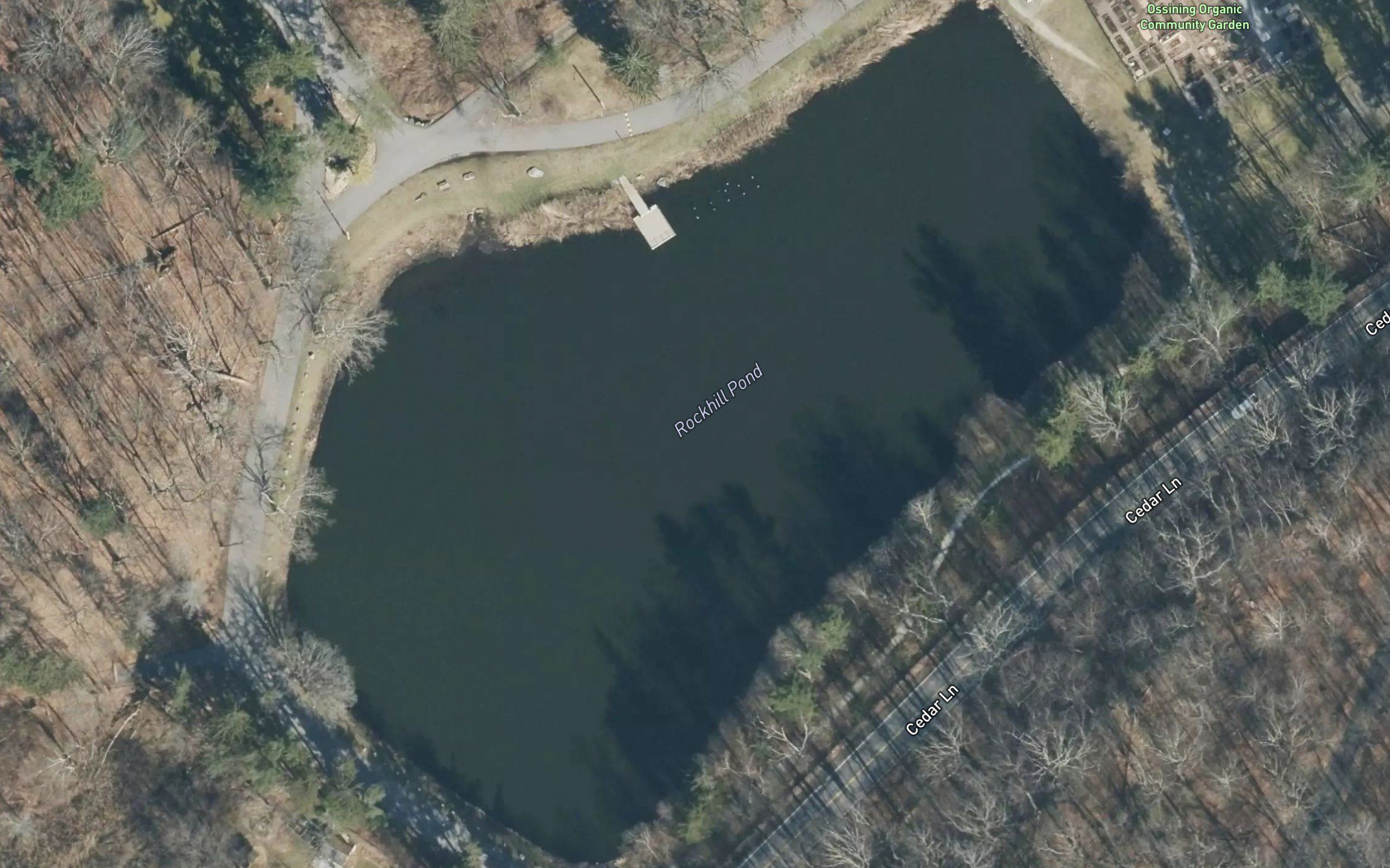 Rockhill Pond