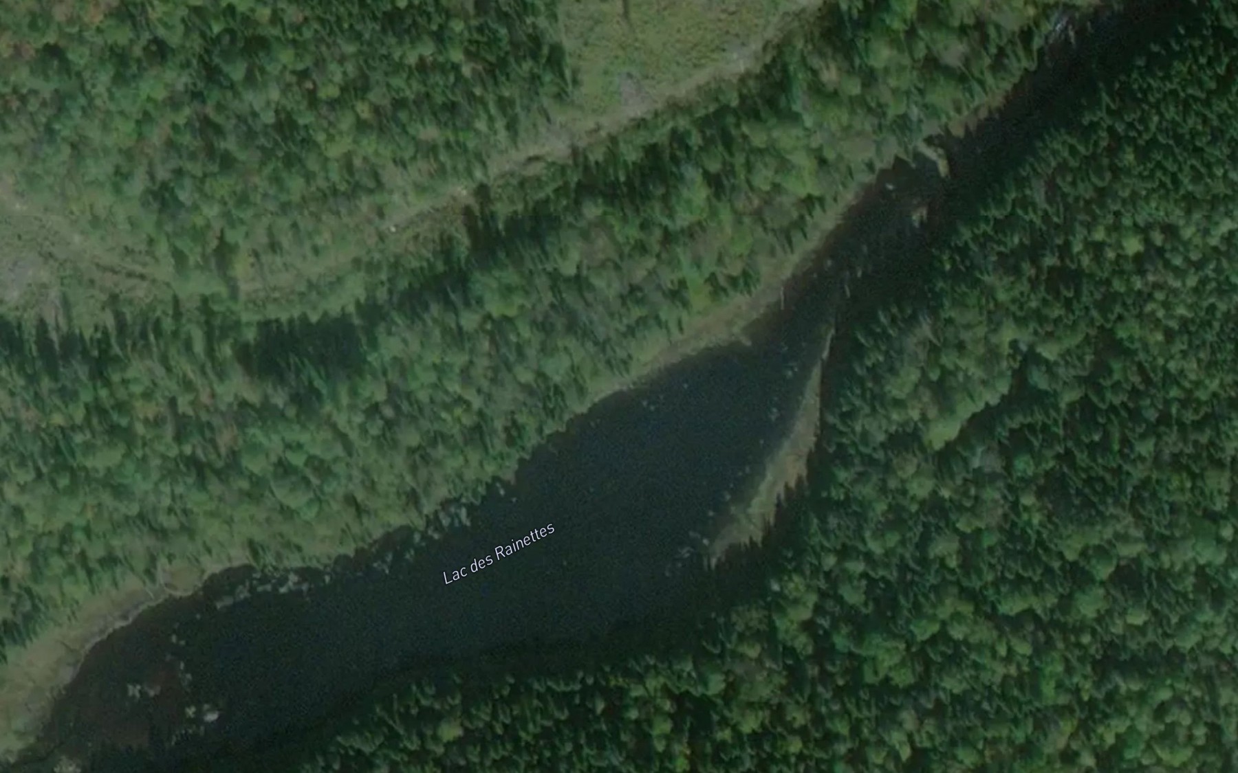 Satellite map of the Lac des Rainettes