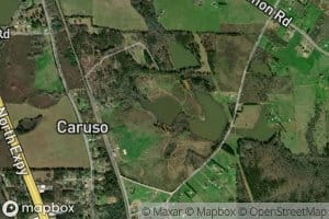 Southern Fruit Lake B