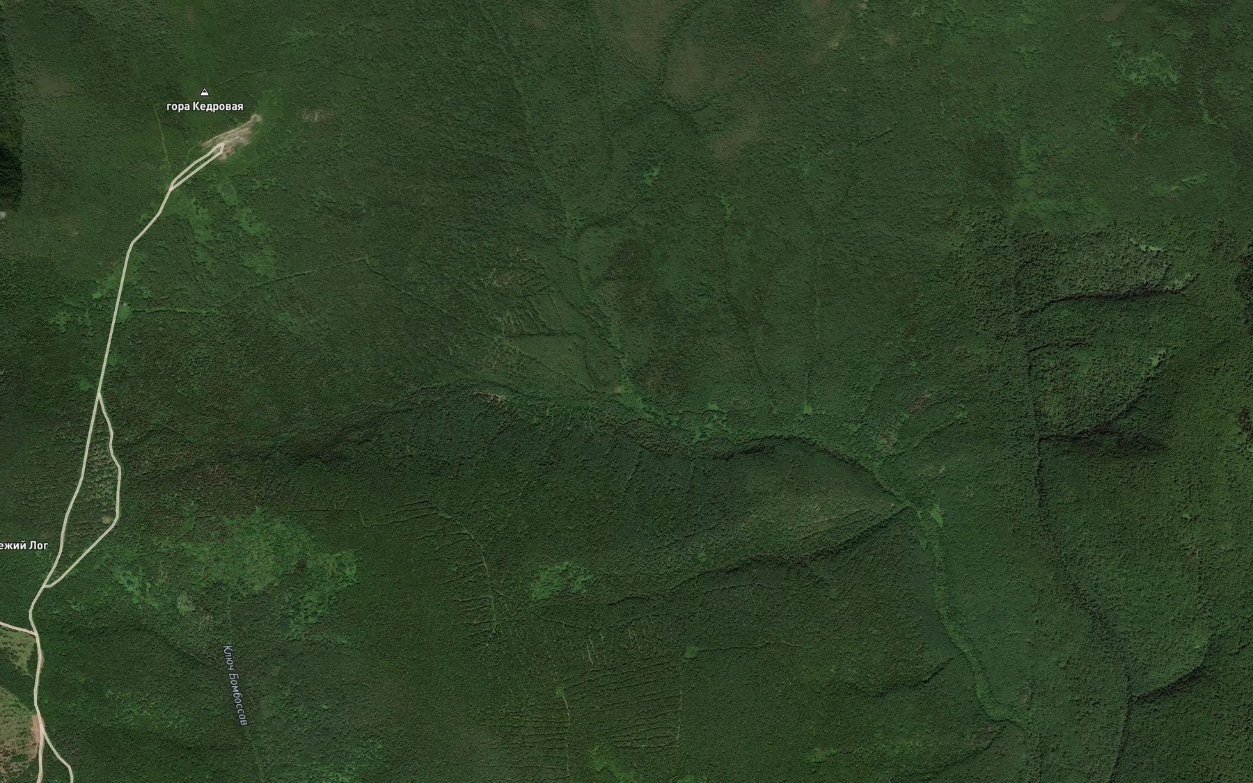 Satellite map of the Zayachiy