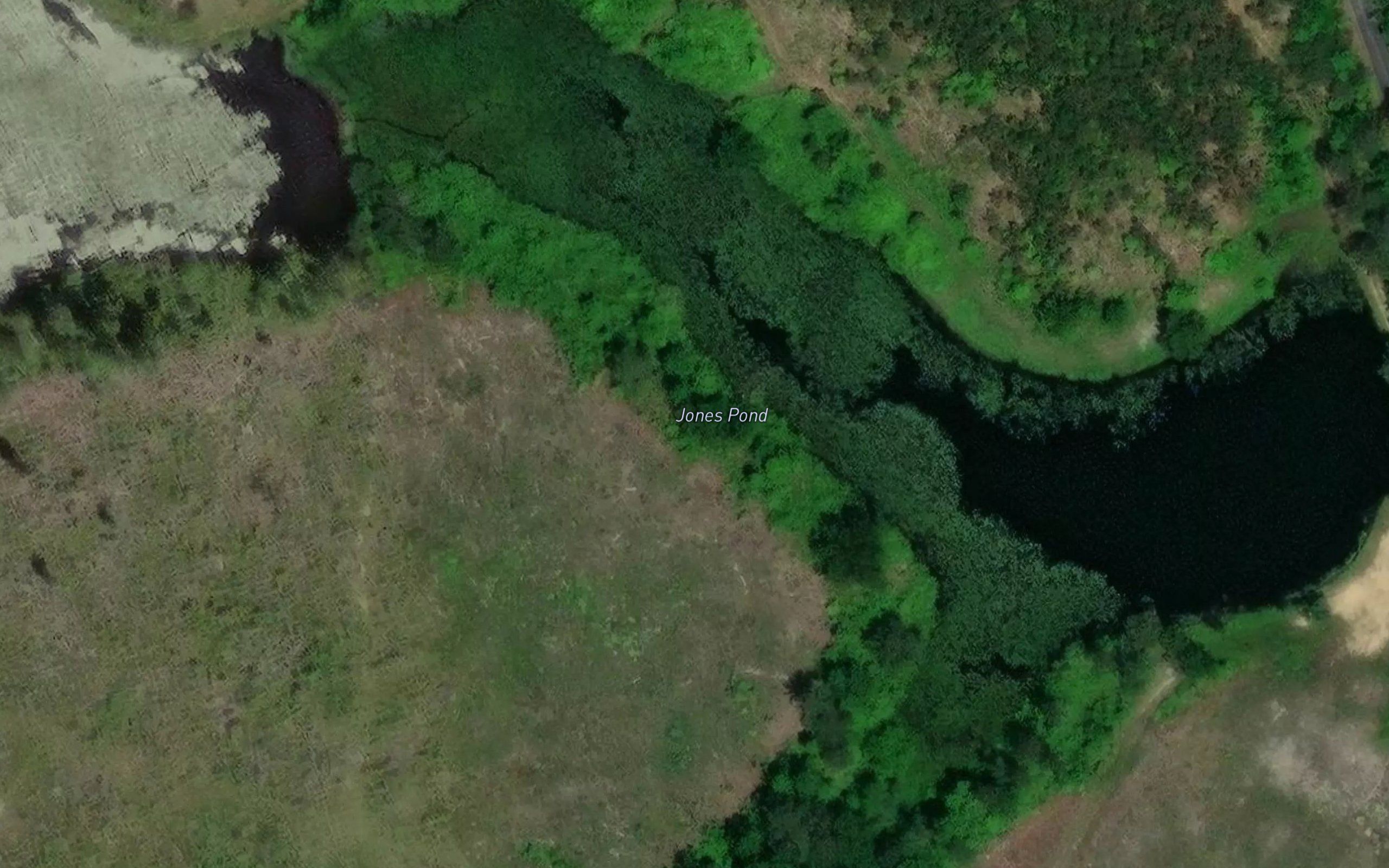 Jones Pond