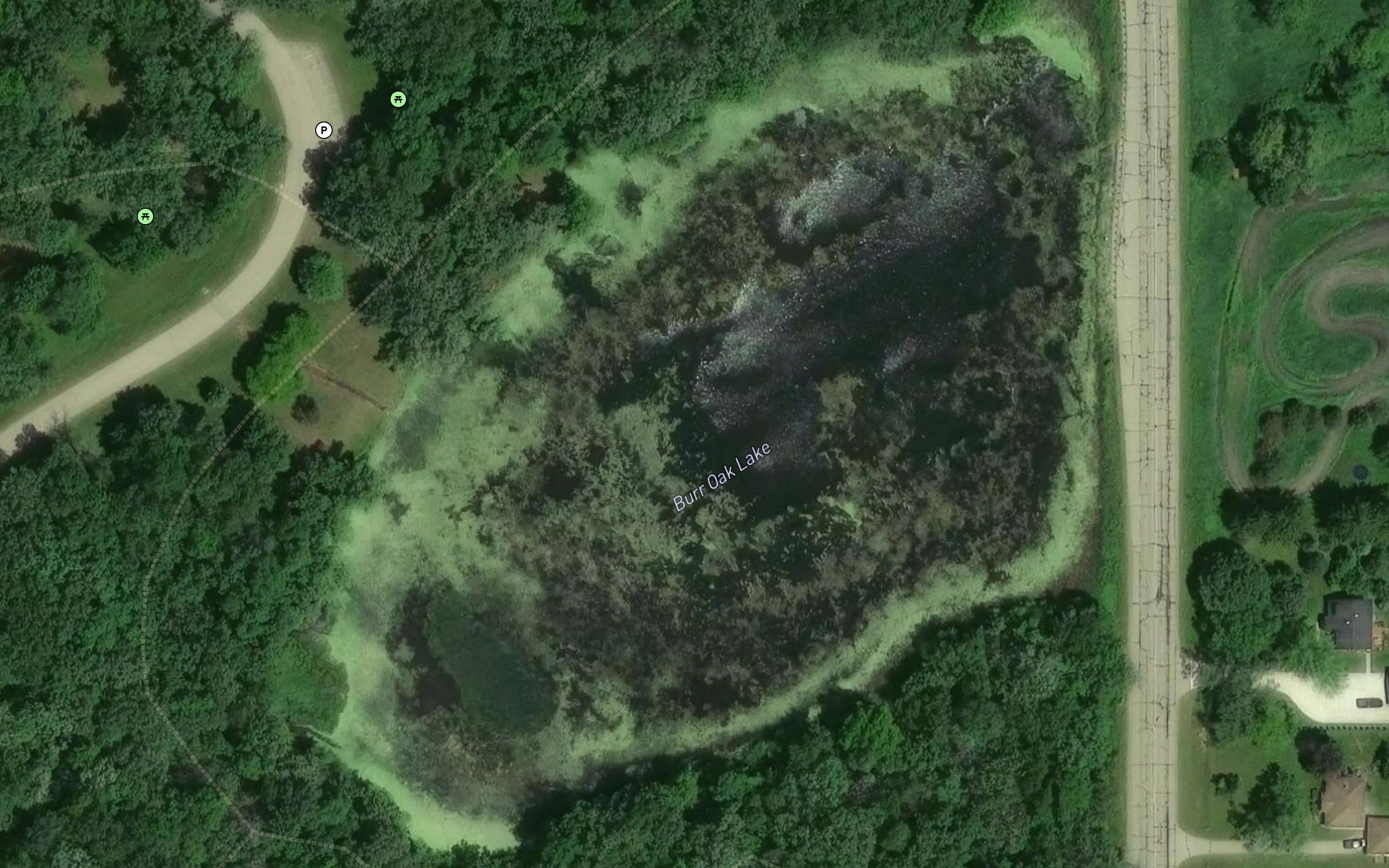 Bur Oak Lake