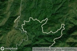 Poplar Spring Branch