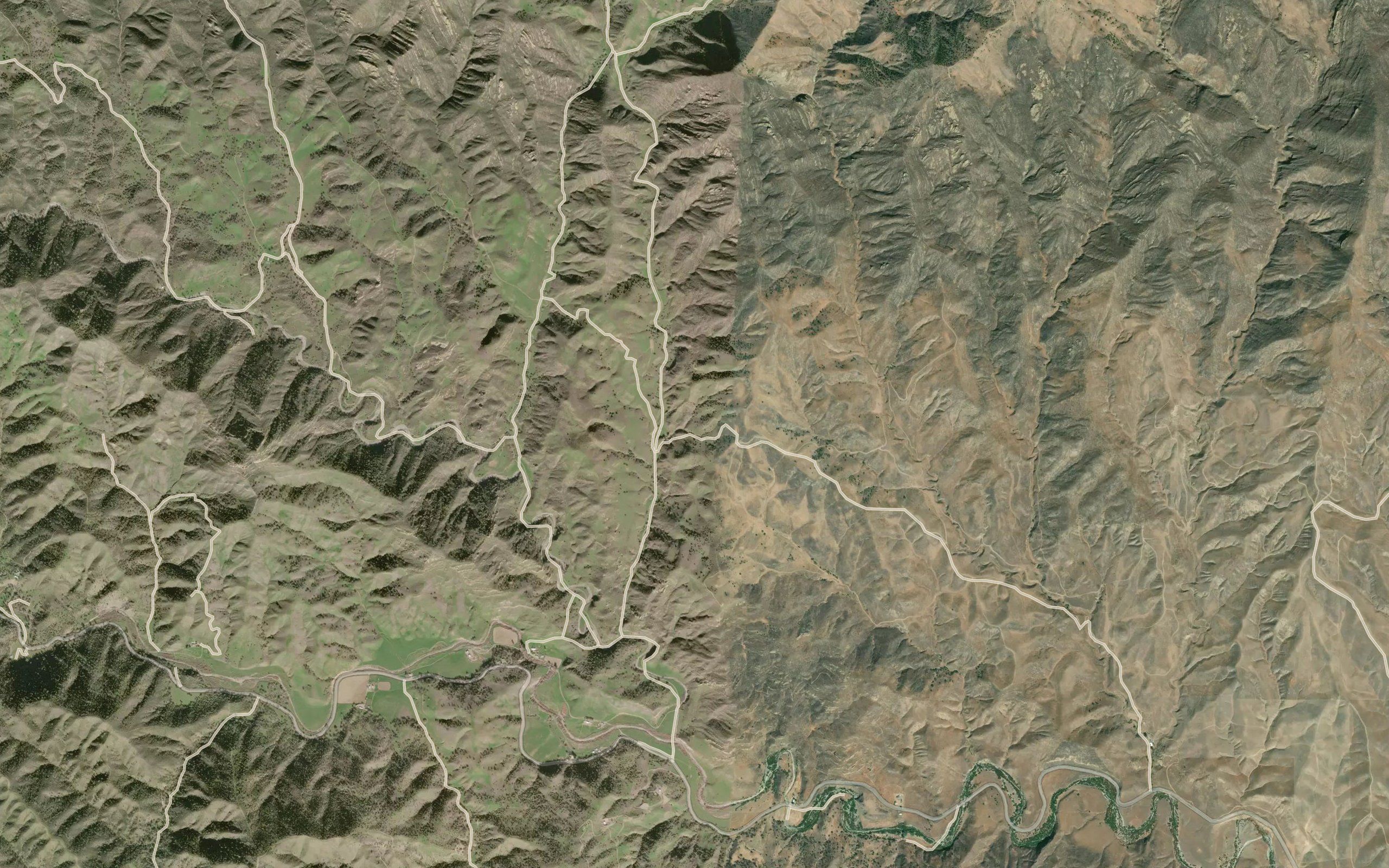 Lane Spring