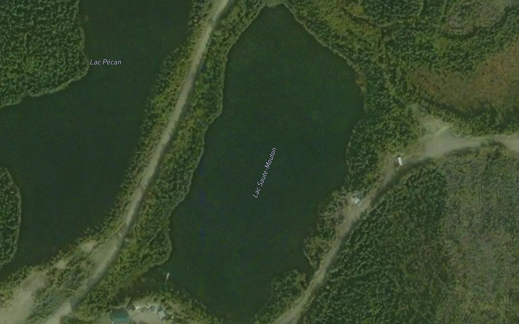 Satellite map of the Lac Saute-Mouton