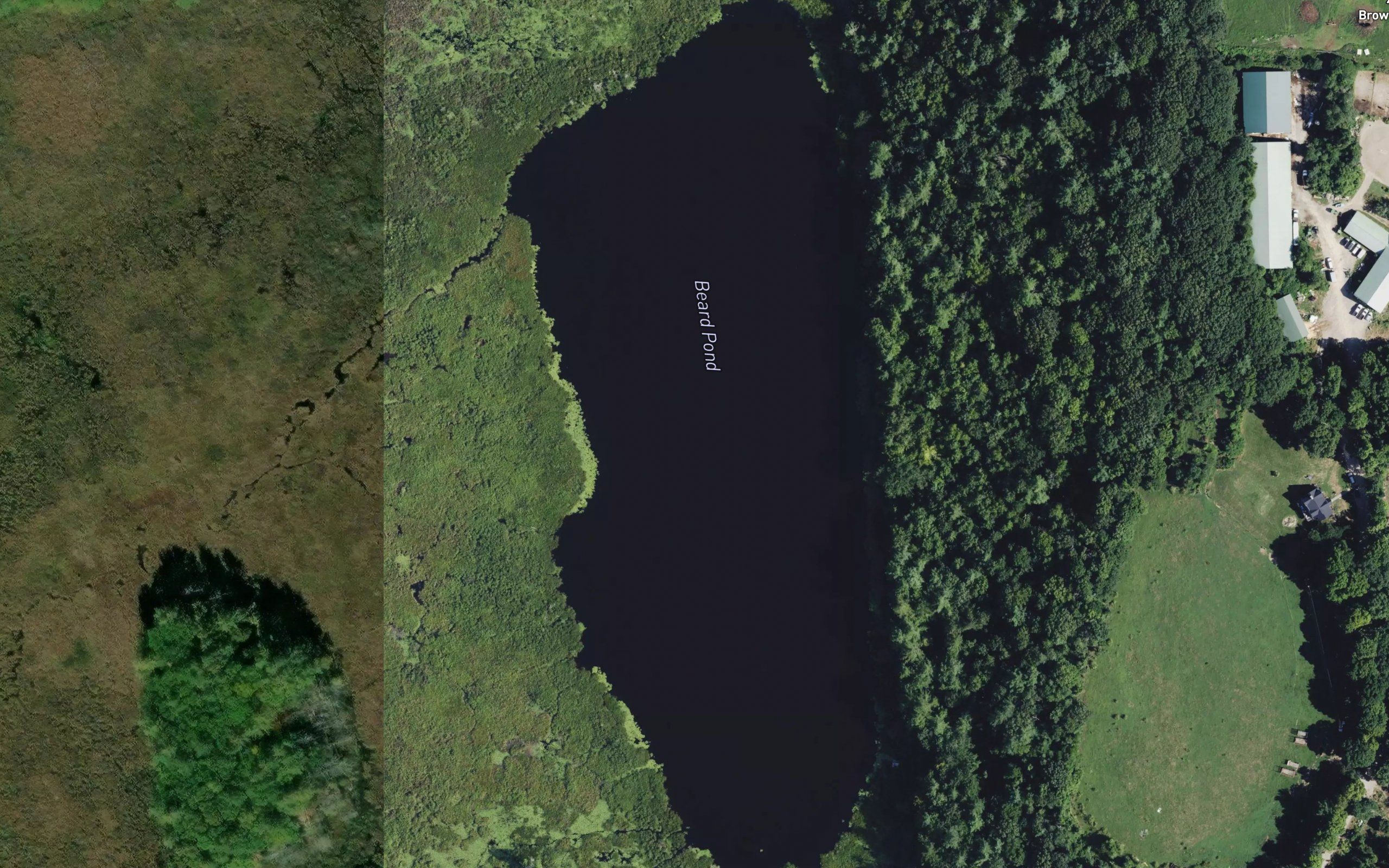 Beard Pond