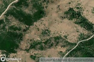 Mule Spring