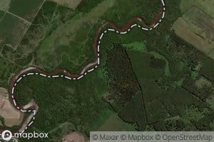 Arroyo Sauce del Cufre