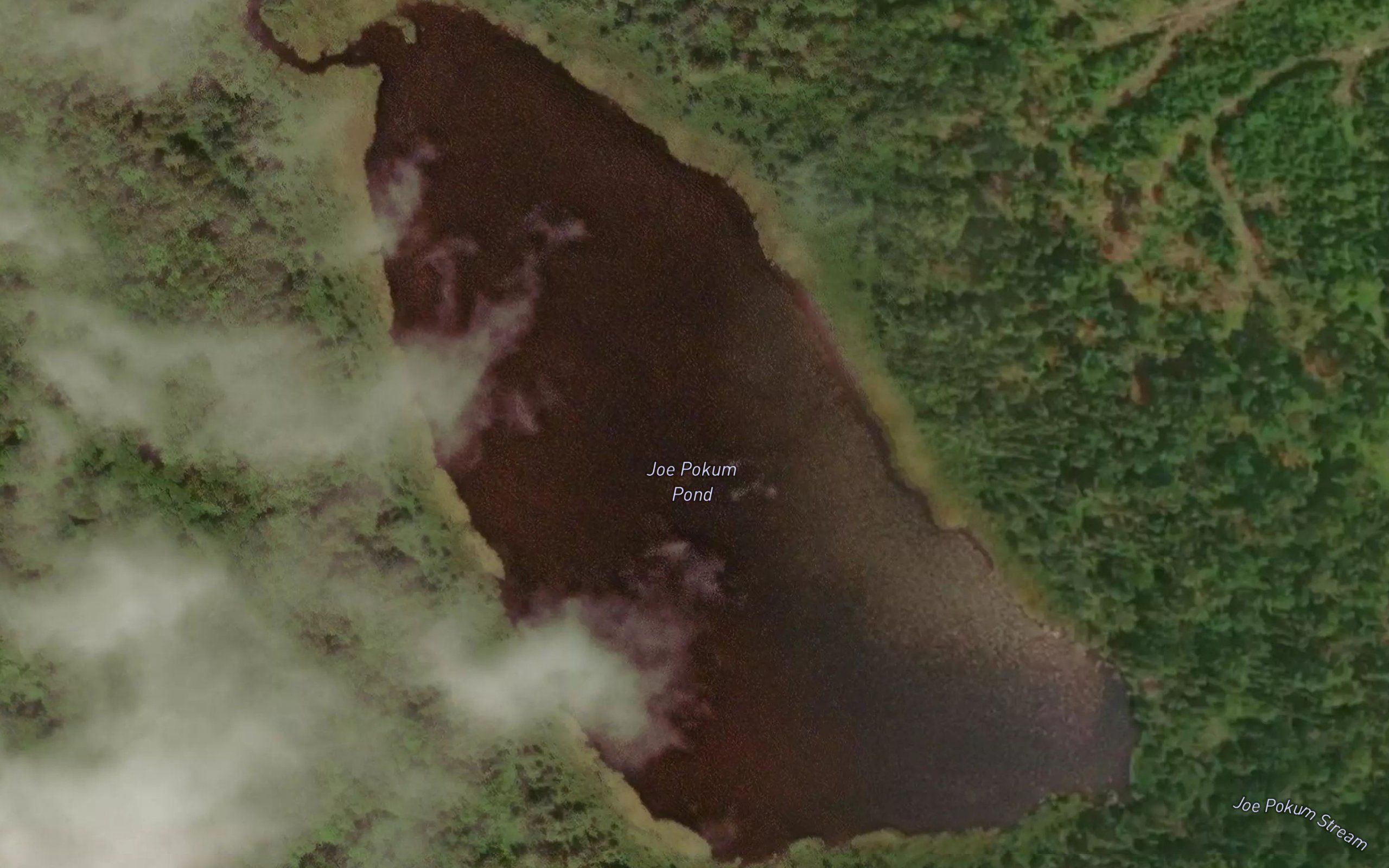 Joe Pokum Pond