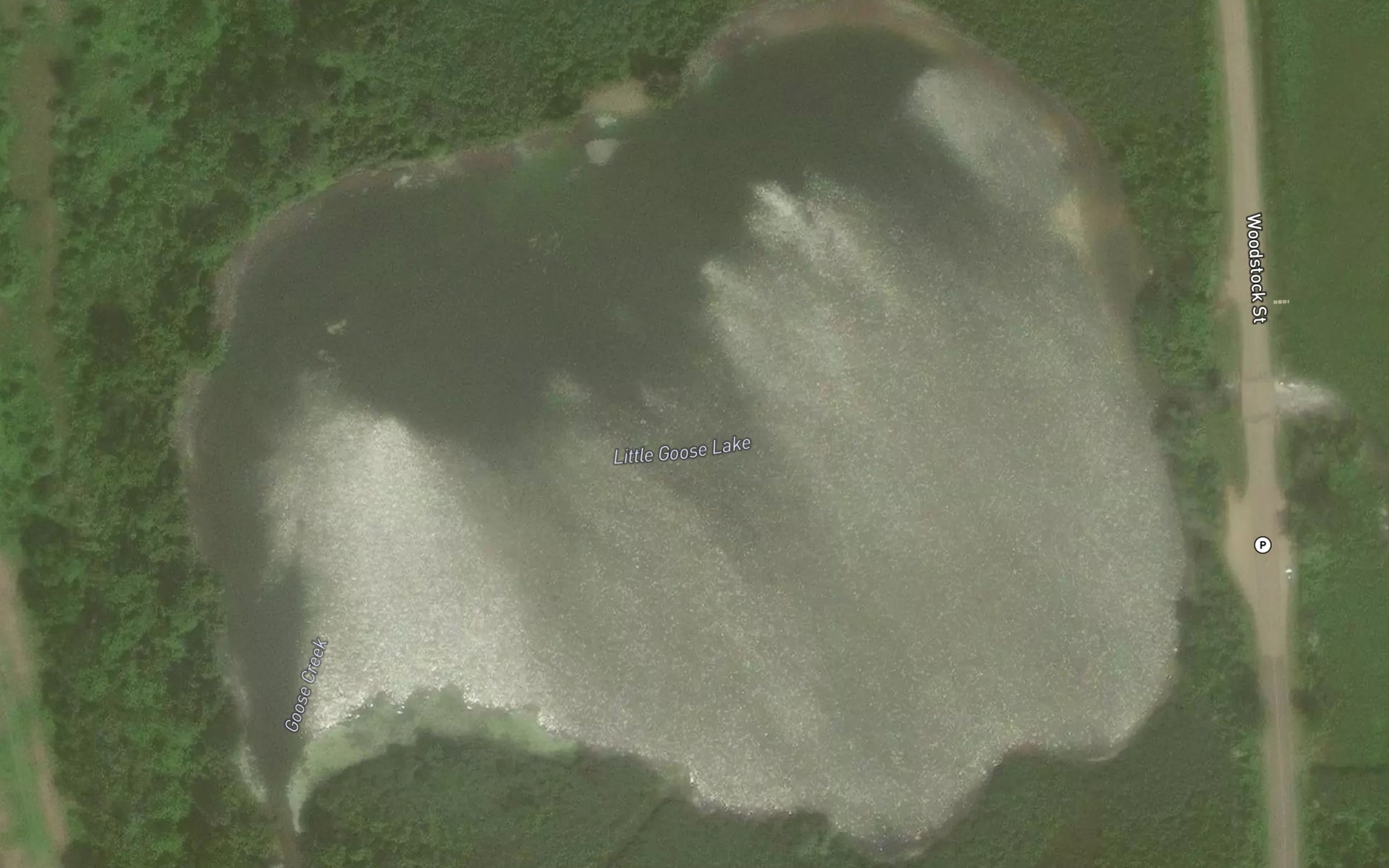 Satellite map of the Little Goose Lake
