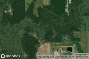 Bayou Pointe Aux Loups