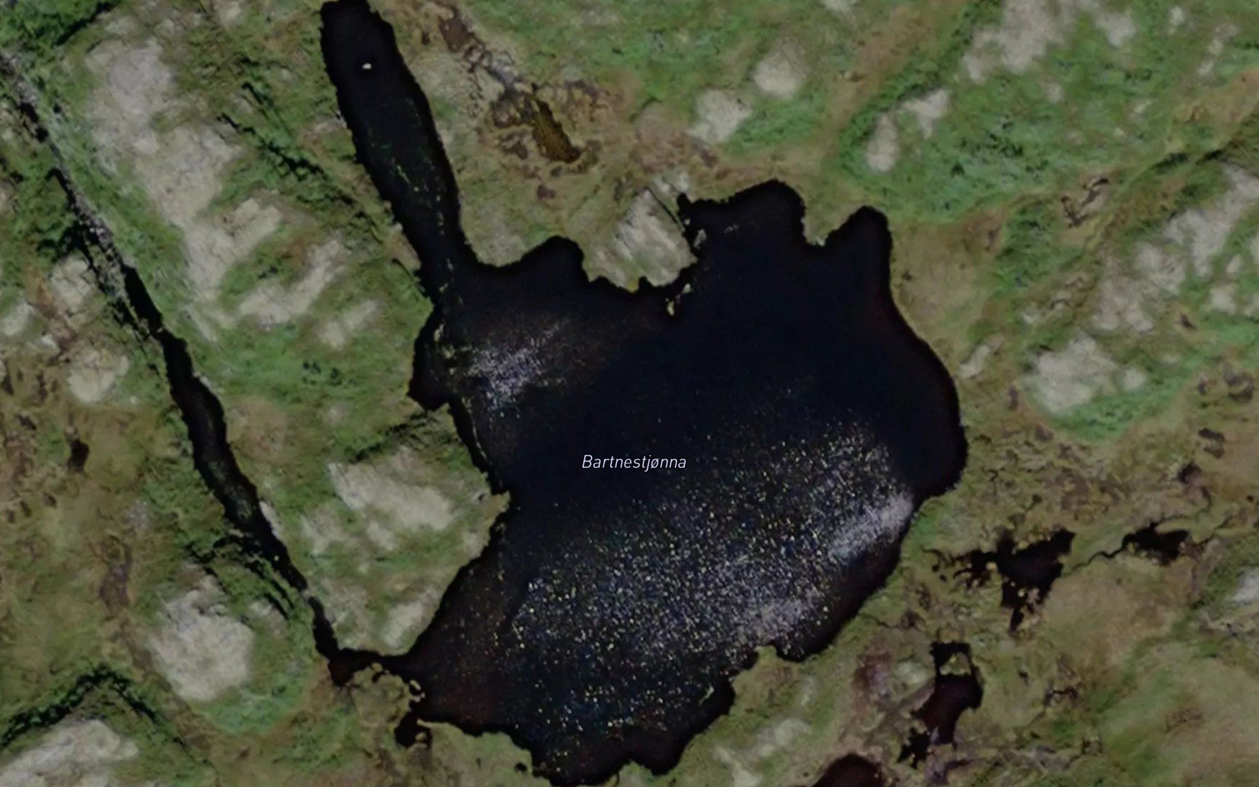 Bartnestjorna