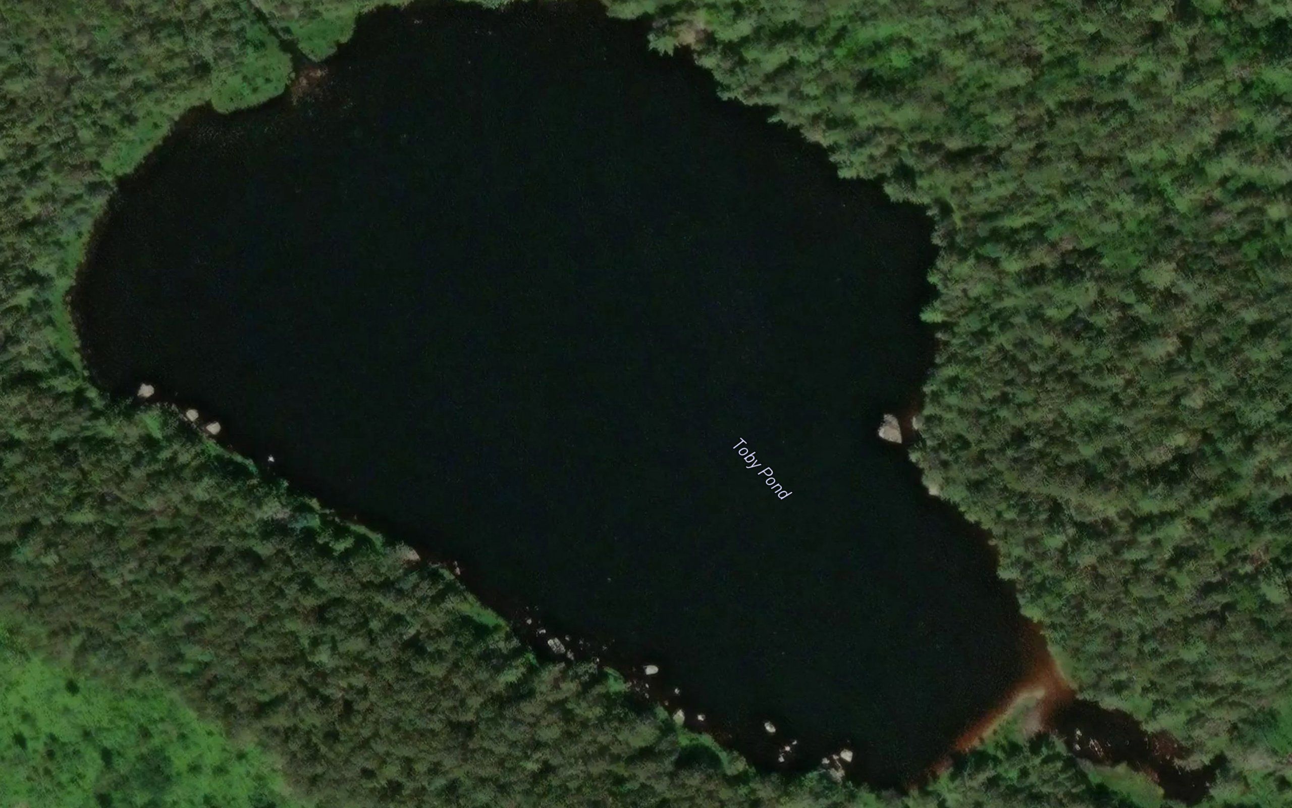 Toby Pond