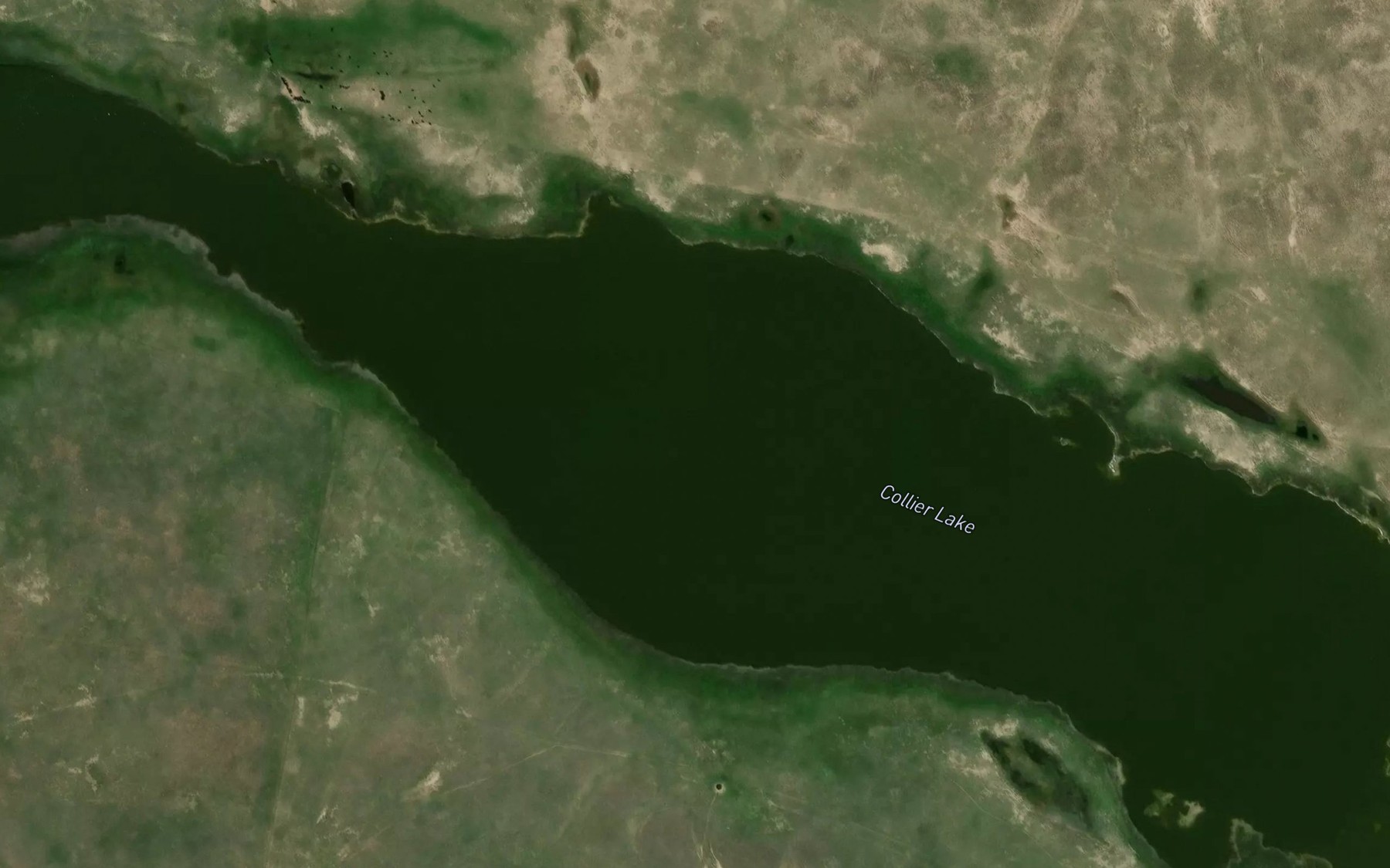 Satellite map of the Collier Lake