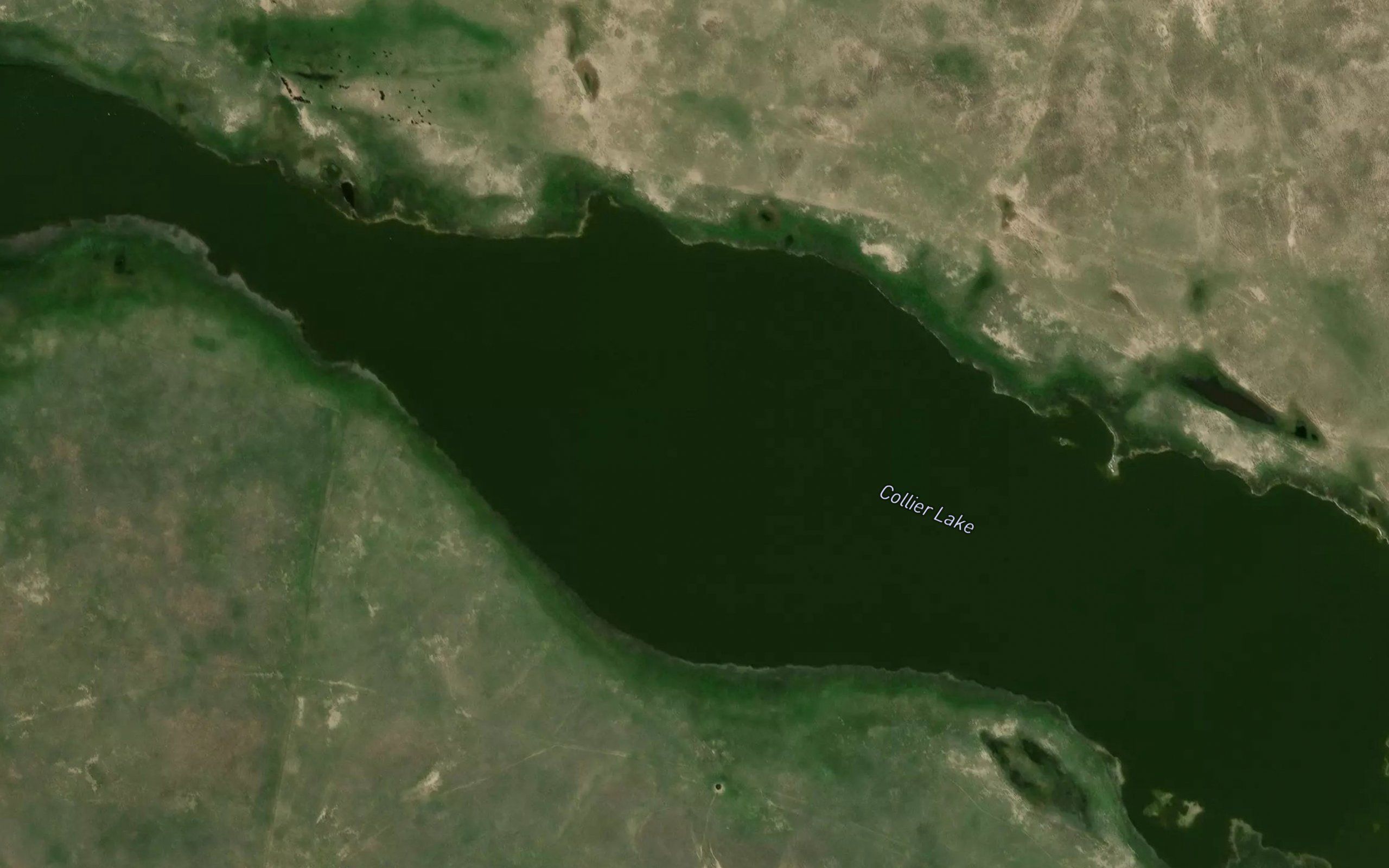 Collier Lake