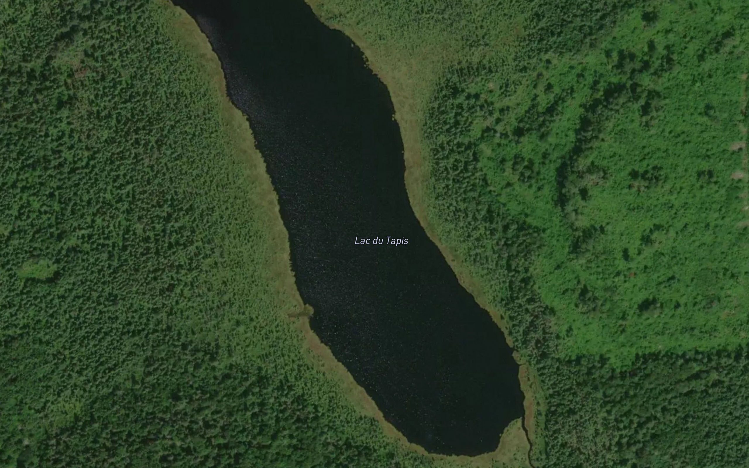 Lac du Tapis