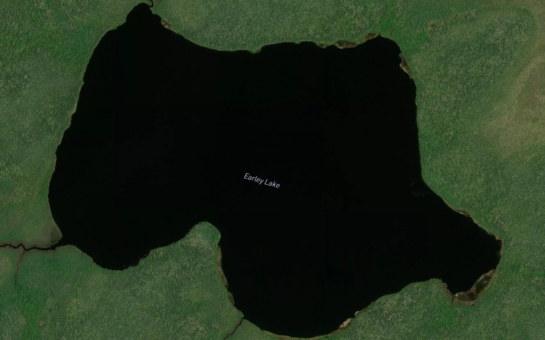 Satellite map of the Earley Lake