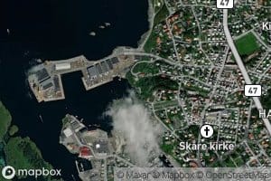 Asalvika