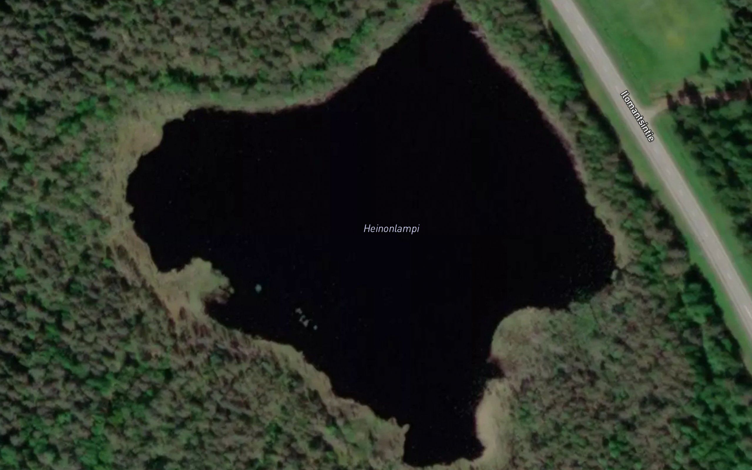 Heinonlampi