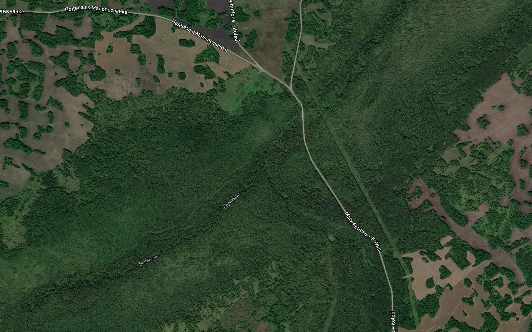Satellite map of the Lebedka