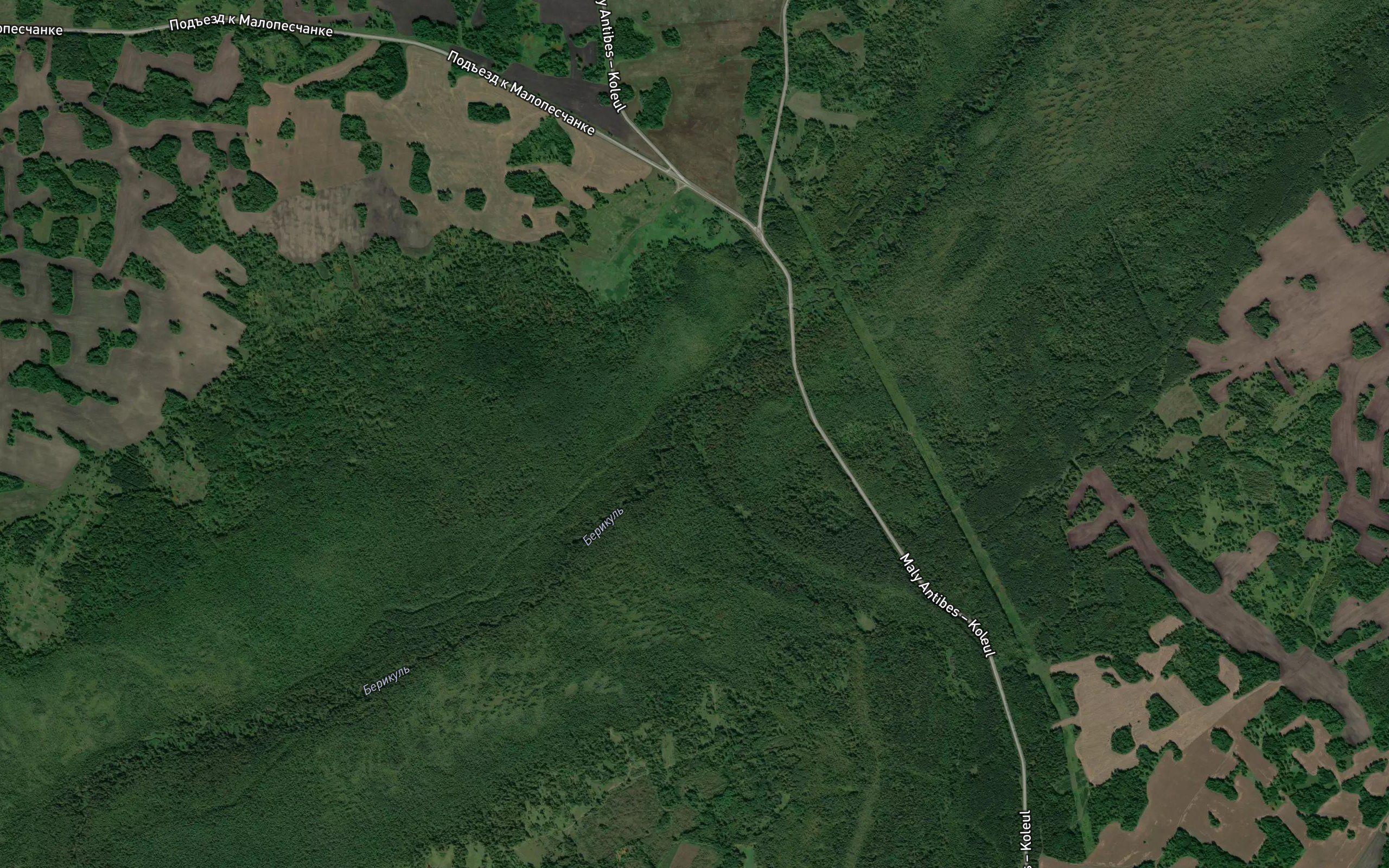 Lebedka