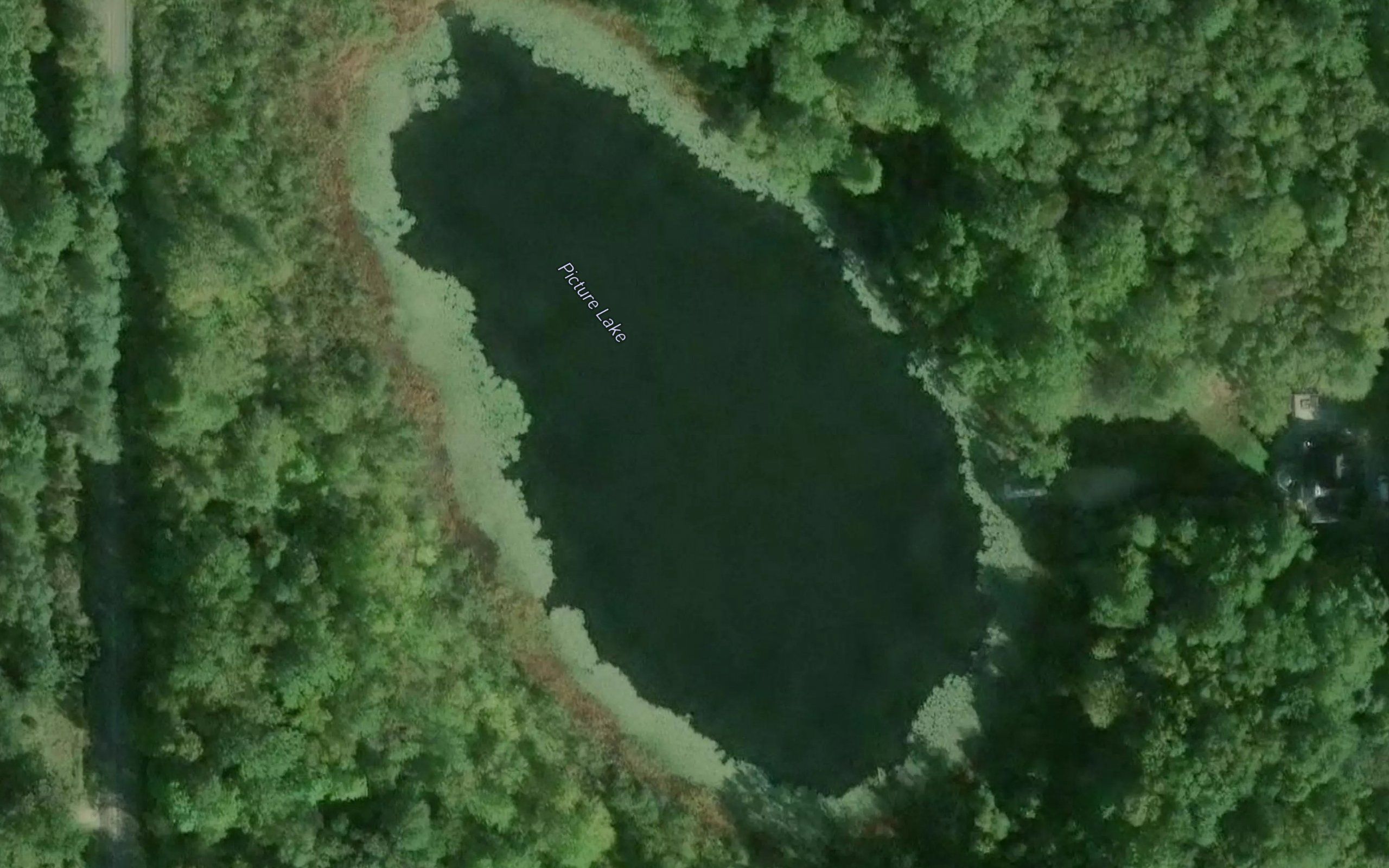 Picture Lake