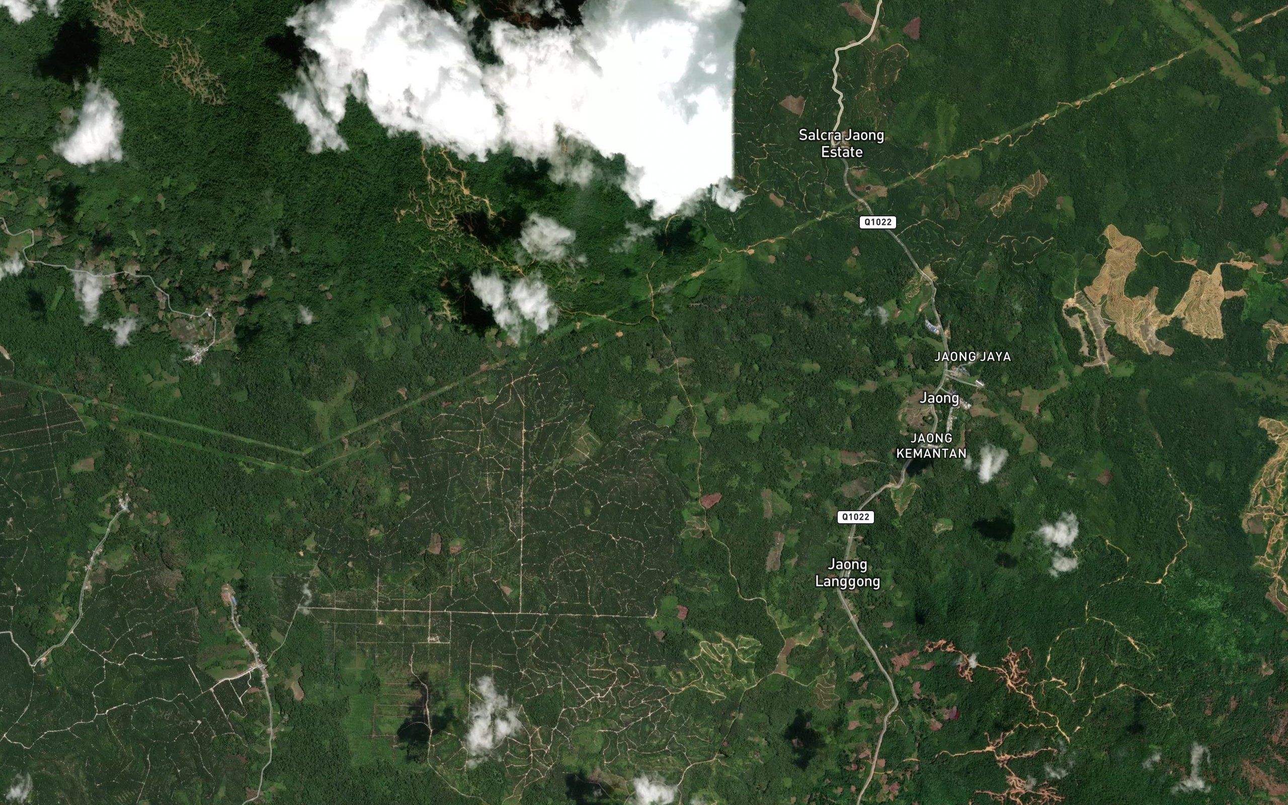 Lubok Bunga