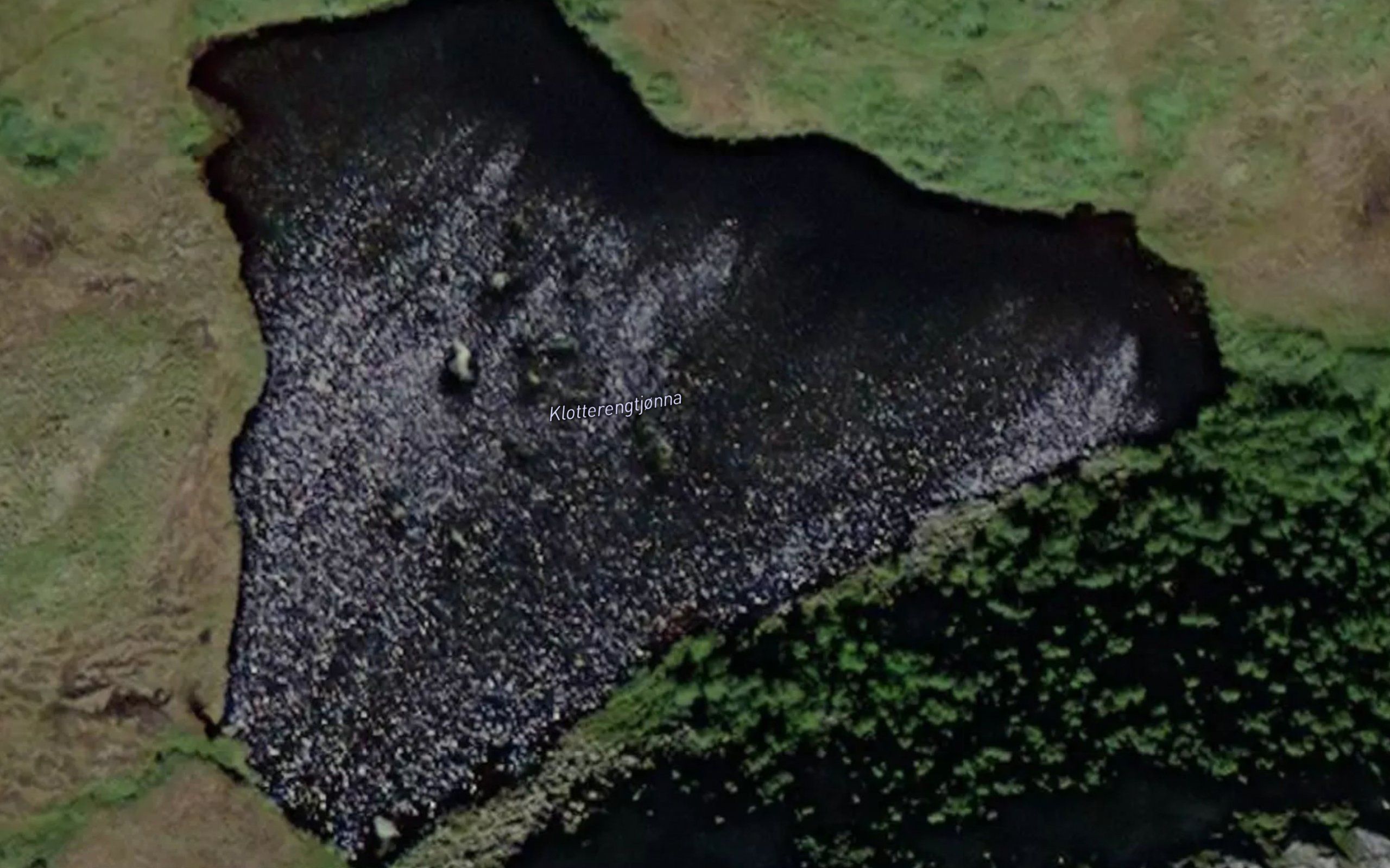 Klotterengtjorna