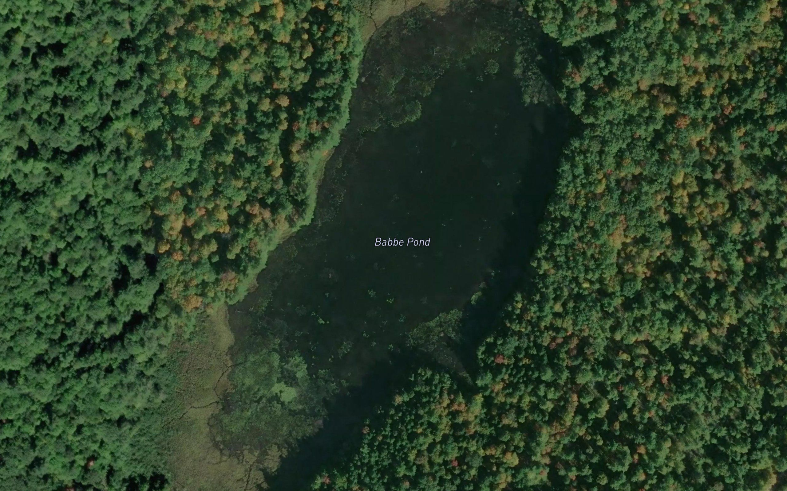 Florence Pond